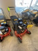EXMARK PUSH MOWER, MODEL COMMERCIAL 30 S SERIES (SEE TAG IN PHOTOS FOR MORE INFORMATION) (ALL