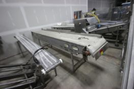 Straight Section of Conveyor, with Aprox. 22-1/2" W Plastic Belt, Belt to Floor: Aprox. 38" H,