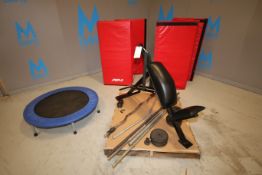 Lot of Fitnesses Equipment Including Smith Built Ab Machine, Weights with Assorted Lifting Bars, (2)