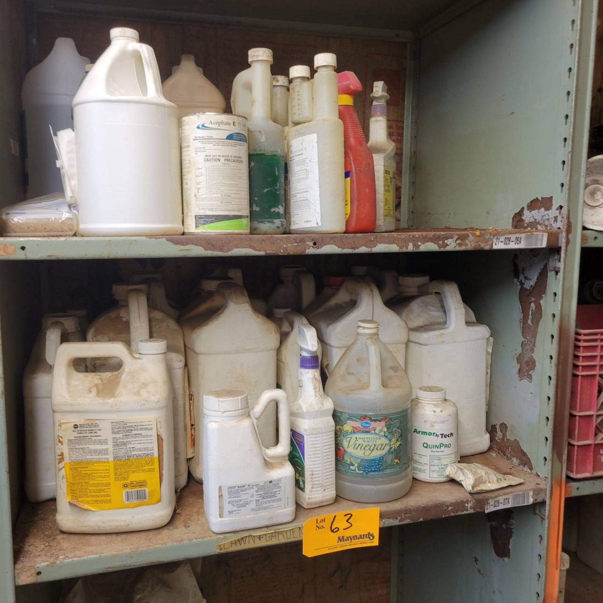 Lot of cleaners, paints, stains and fertilizers