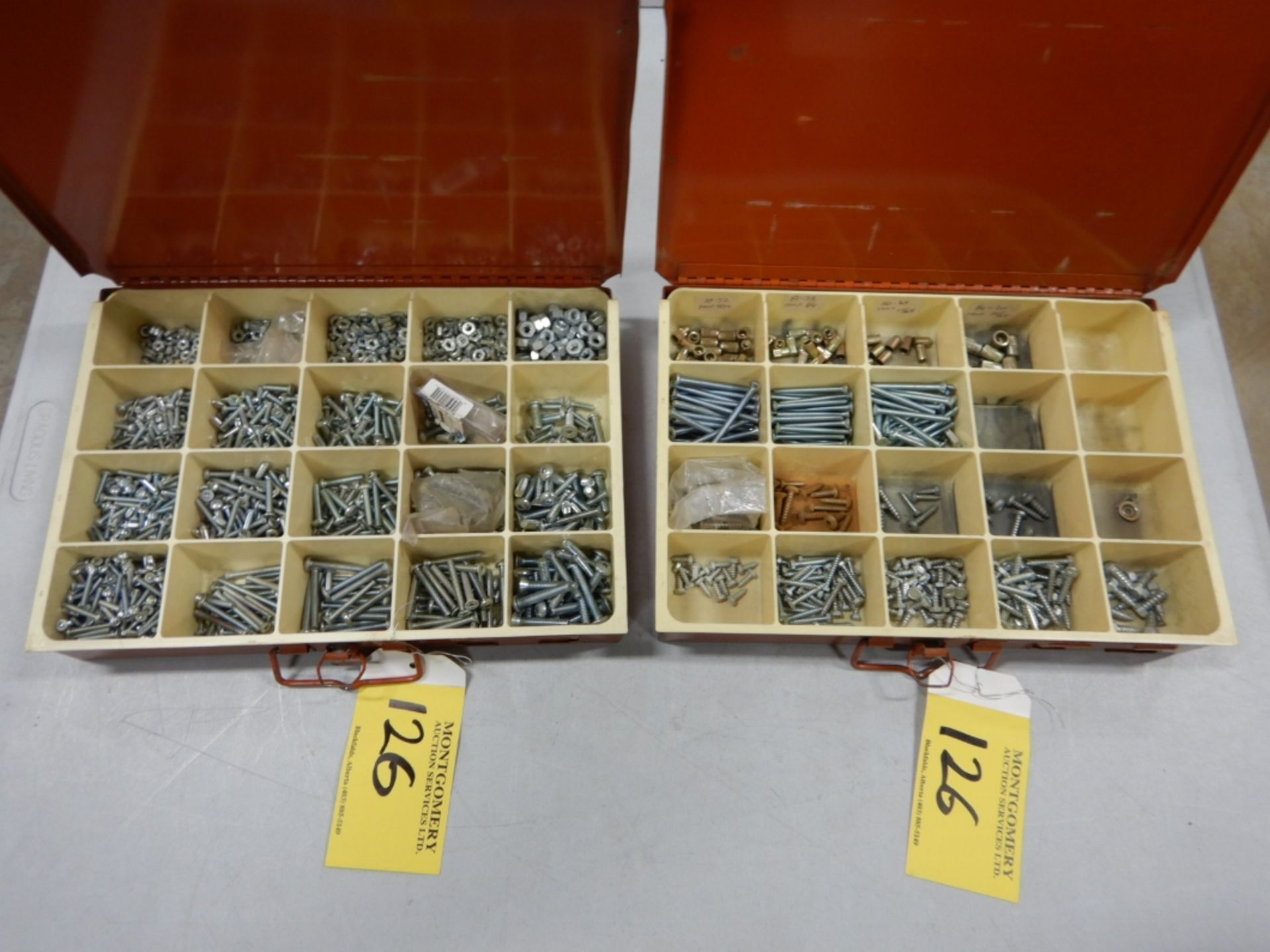 2-HARDWARE ASSORTMENT TRAYS W/ ASSORTED SCREW, MACHINE SCREW, NUT INSERTS, ETC.