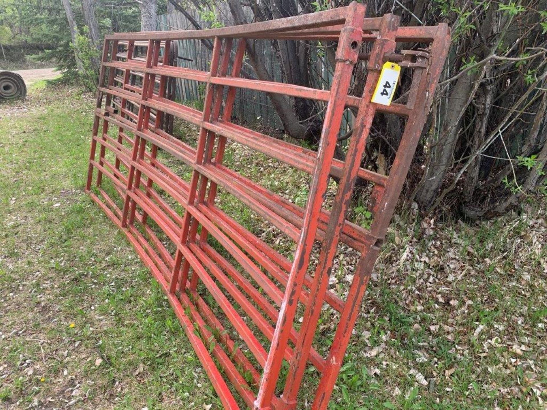 STEEL LIVESTOCK PANELS 12FTX60"