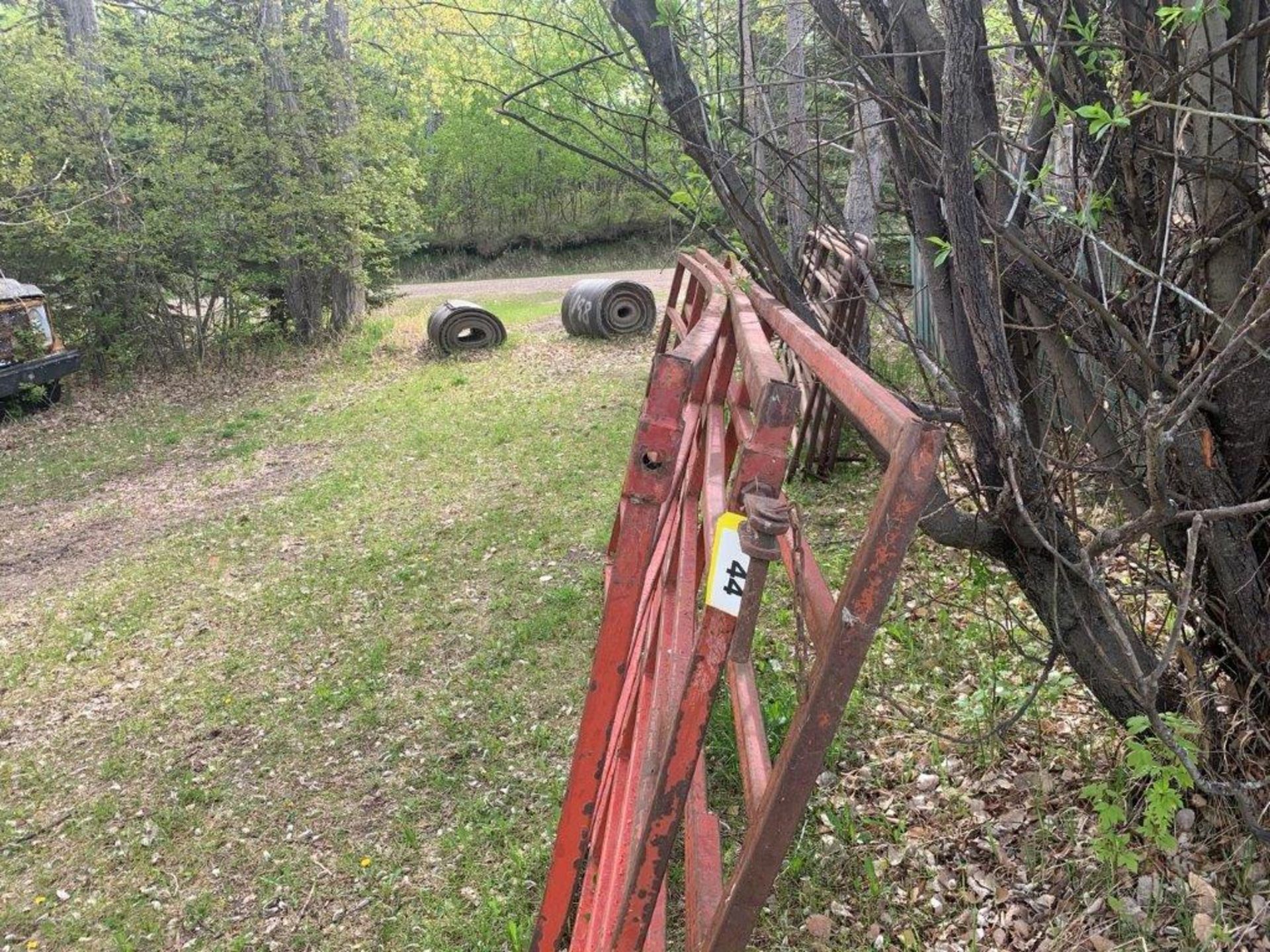 STEEL LIVESTOCK PANELS 12FTX60" - Image 4 of 4