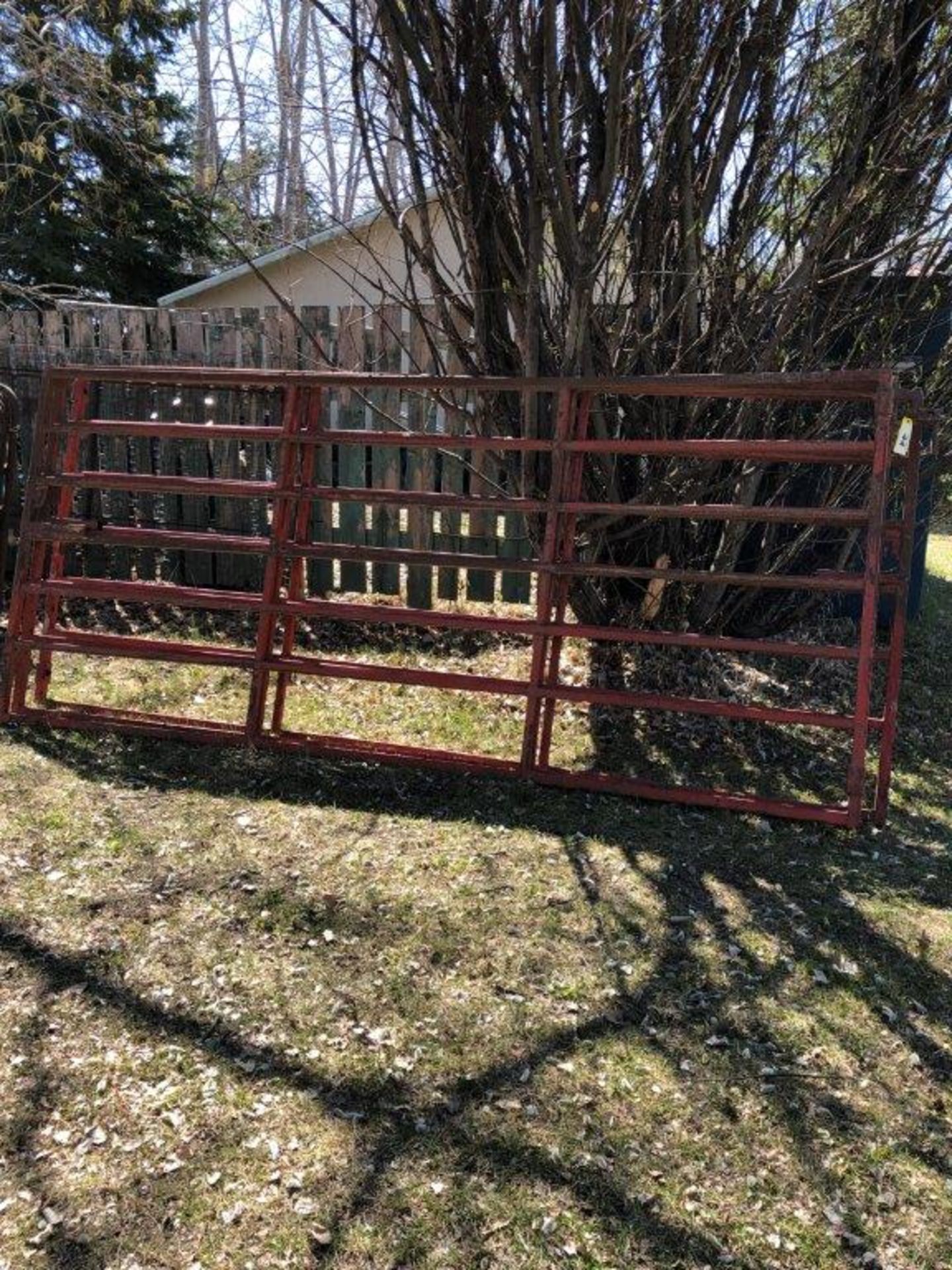 STEEL LIVESTOCK PANELS 12FTX60" - Image 3 of 4