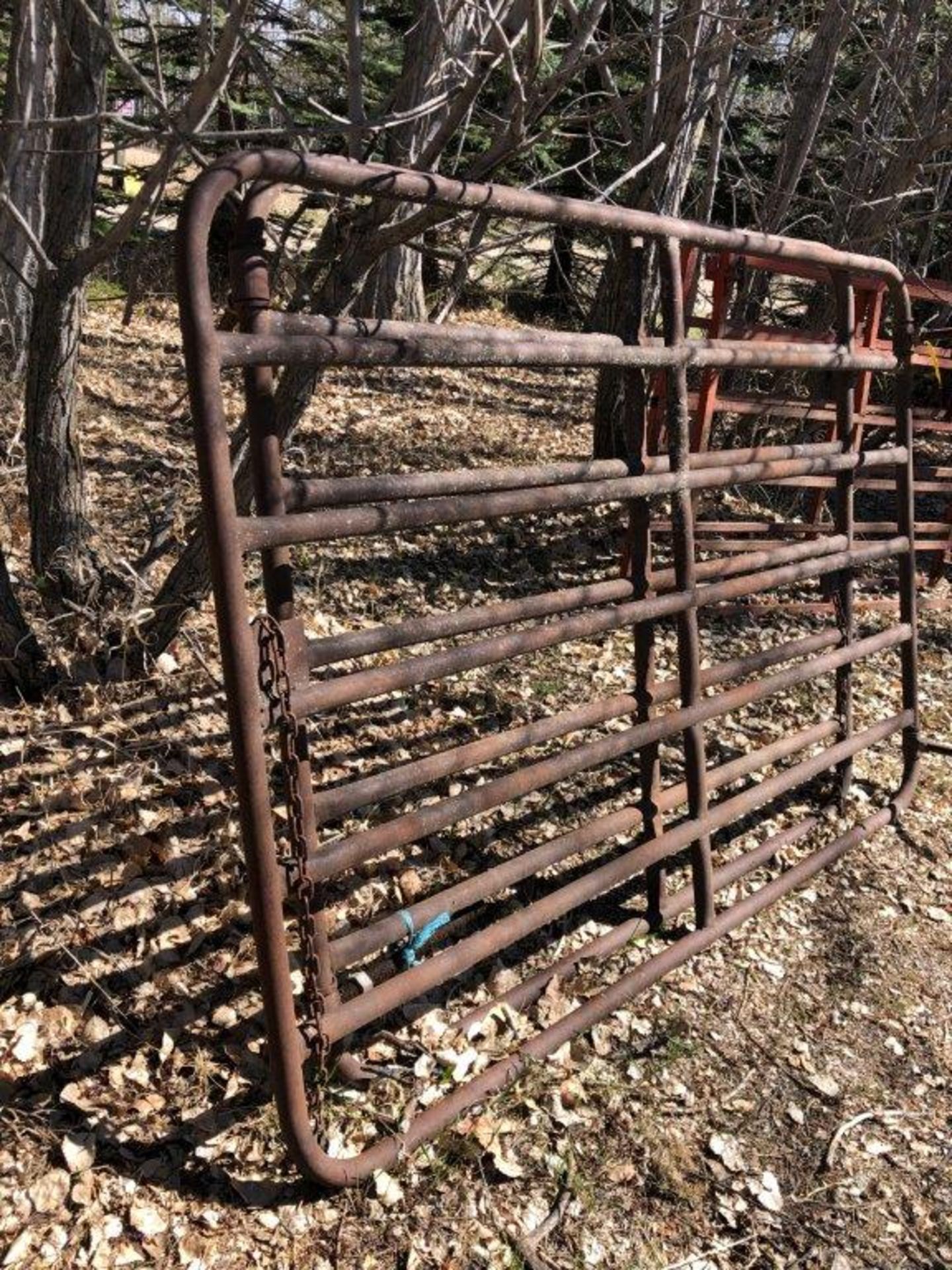 STEEL LIVESTOCK GATES 7FT & 6FT - Image 2 of 2