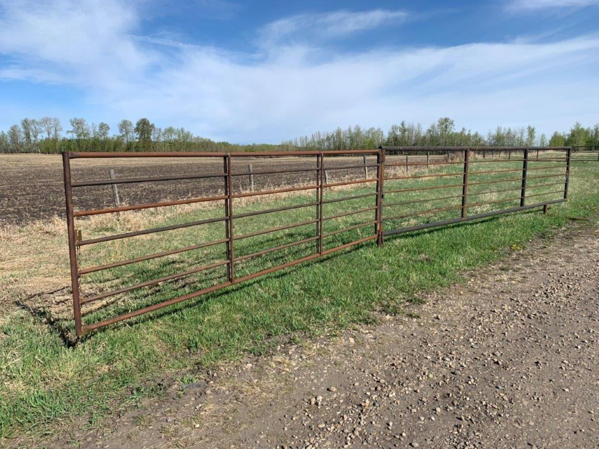 BERG 24 FT FREESTANDING PANEL W/ 15 FT GATE