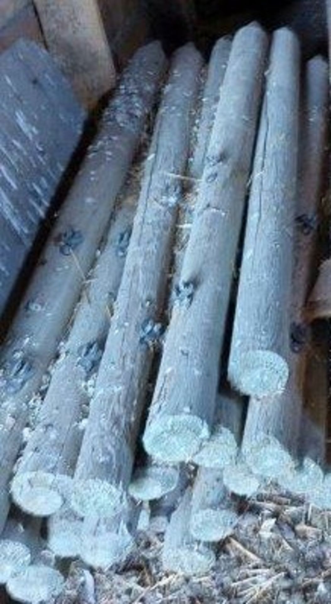 TREATED FENCE POSTS