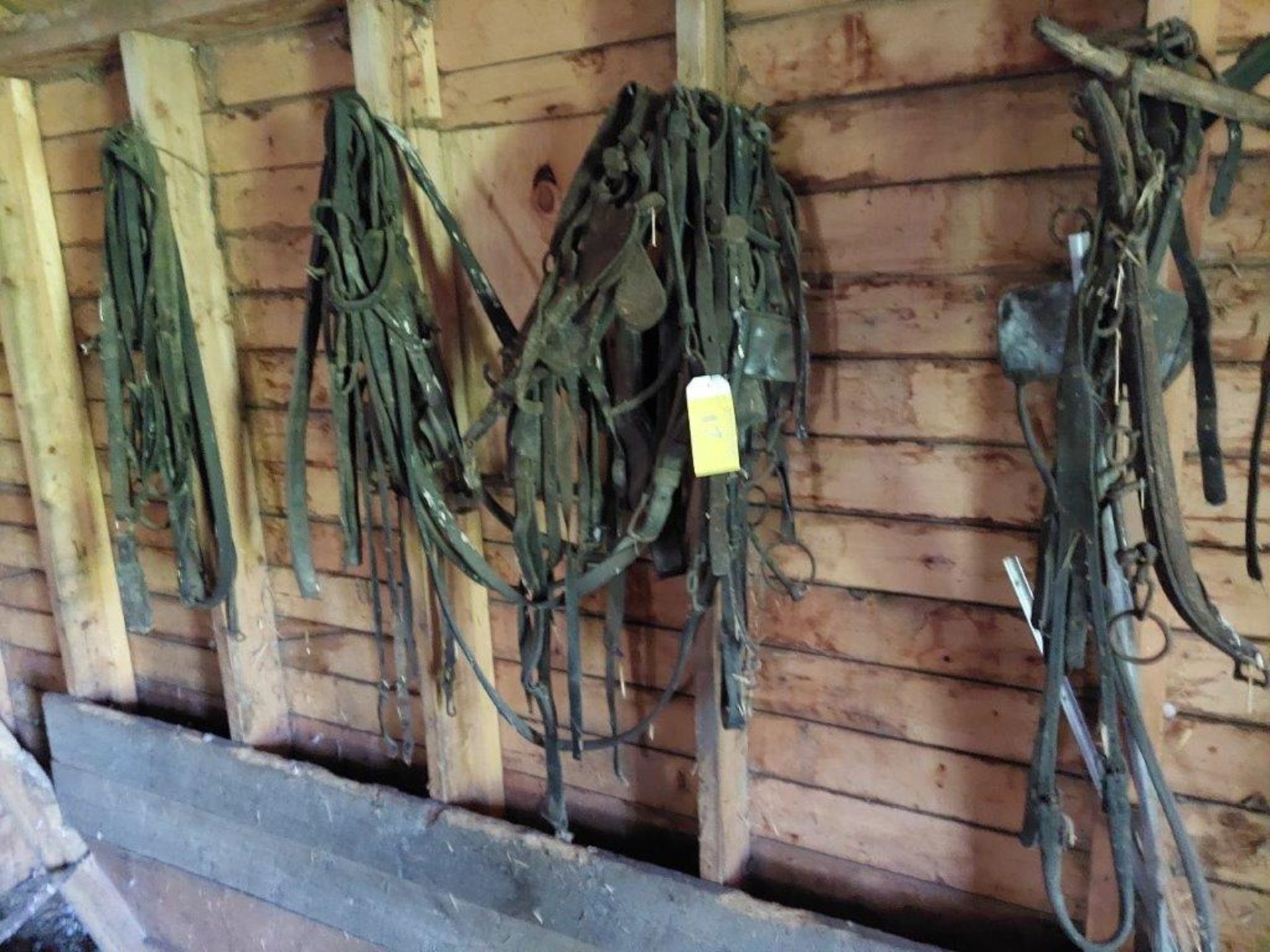 ASSORTED HEAVY HORSE HARNESS - Image 2 of 2