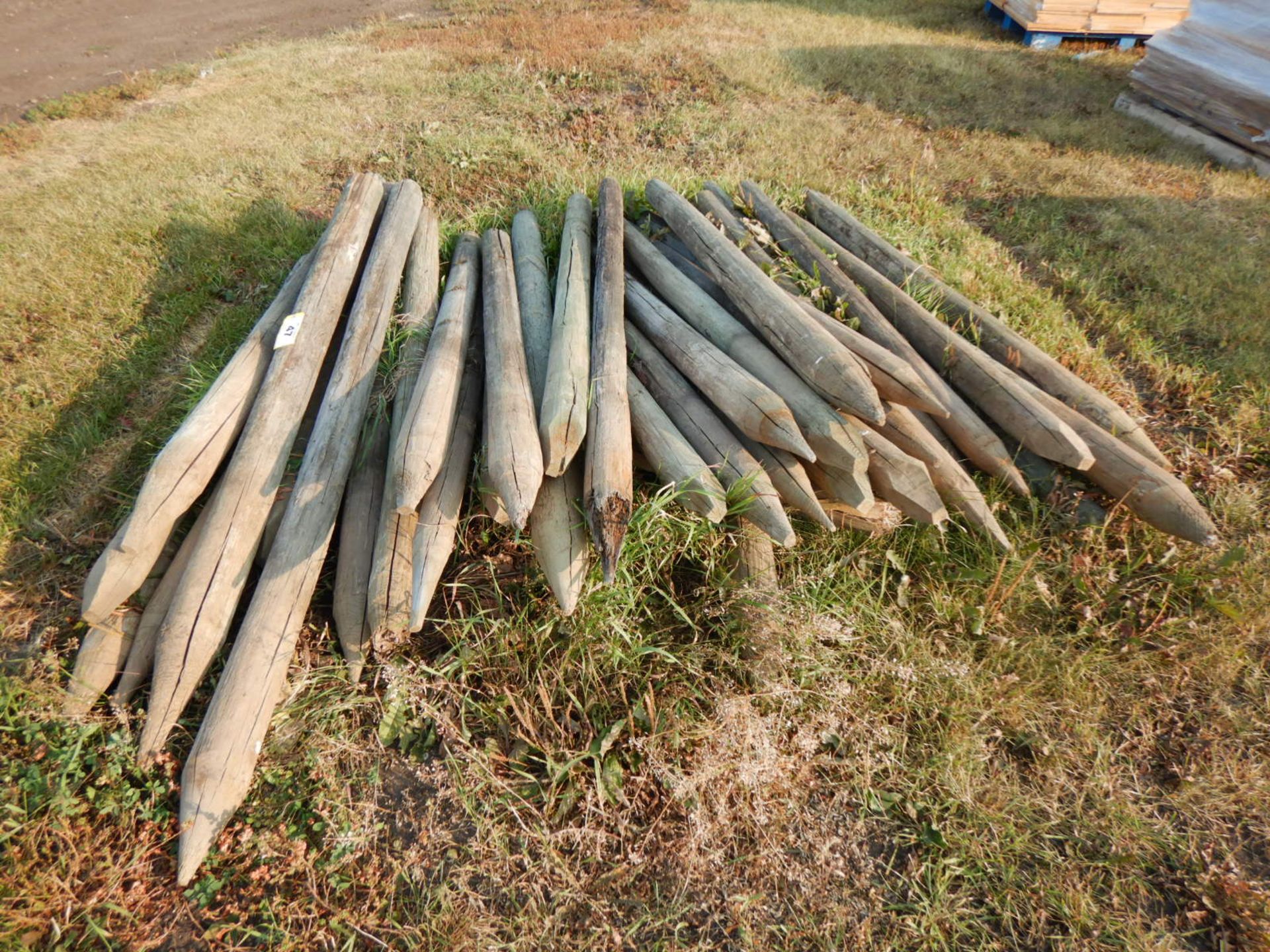 L/O TREATED FENCE POSTS - Image 3 of 3