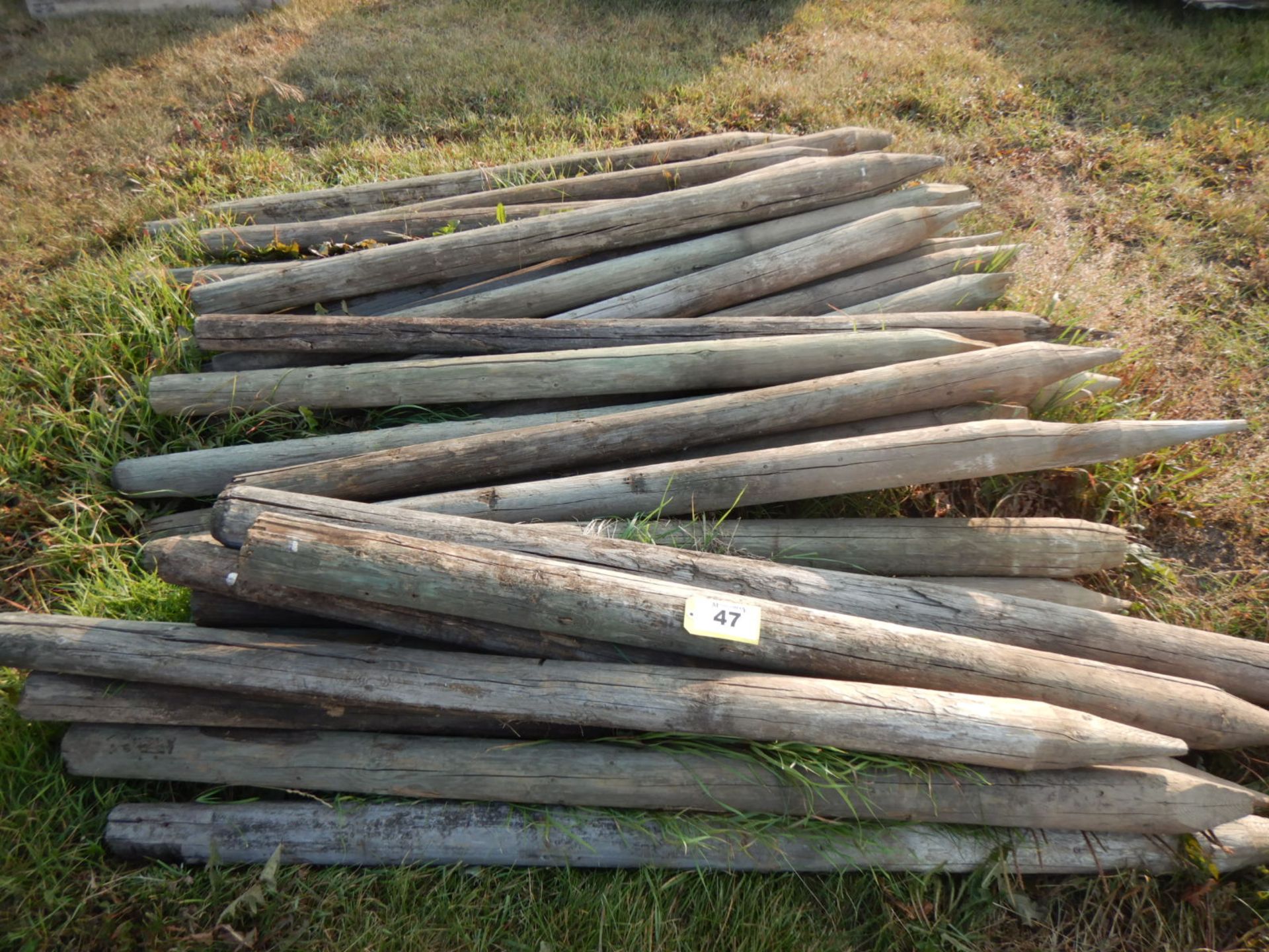 L/O TREATED FENCE POSTS