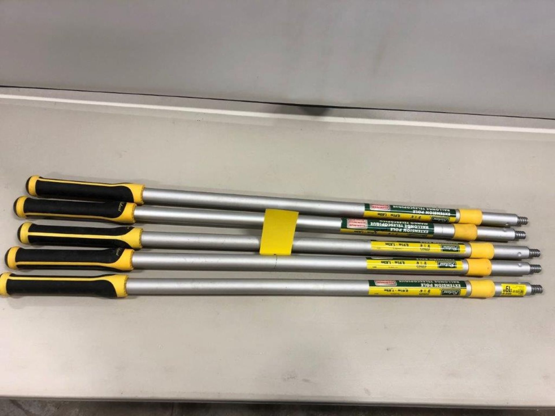 5-RICHARD TELESCOPING EXTENSION POLES