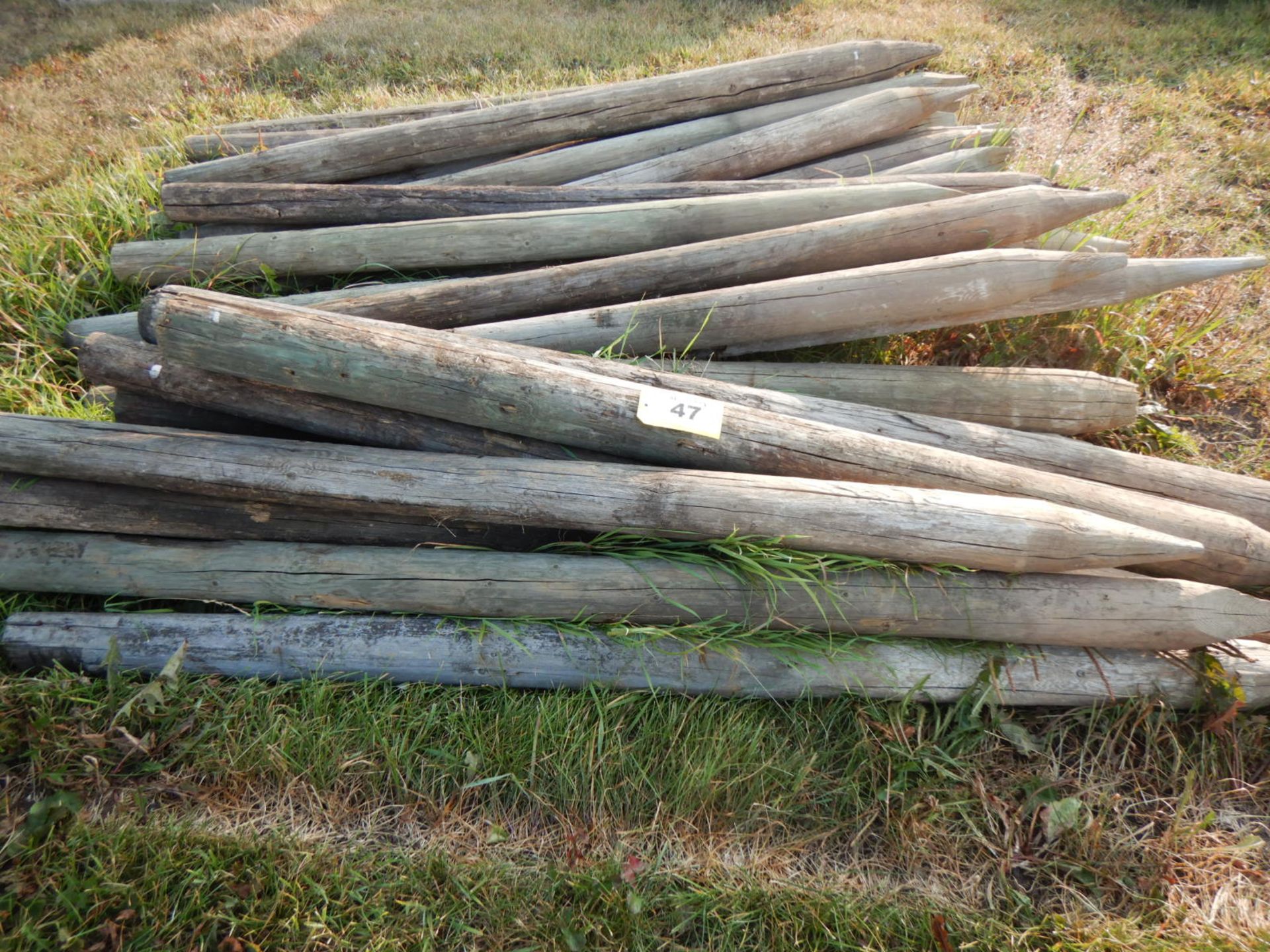 L/O TREATED FENCE POSTS - Image 2 of 3