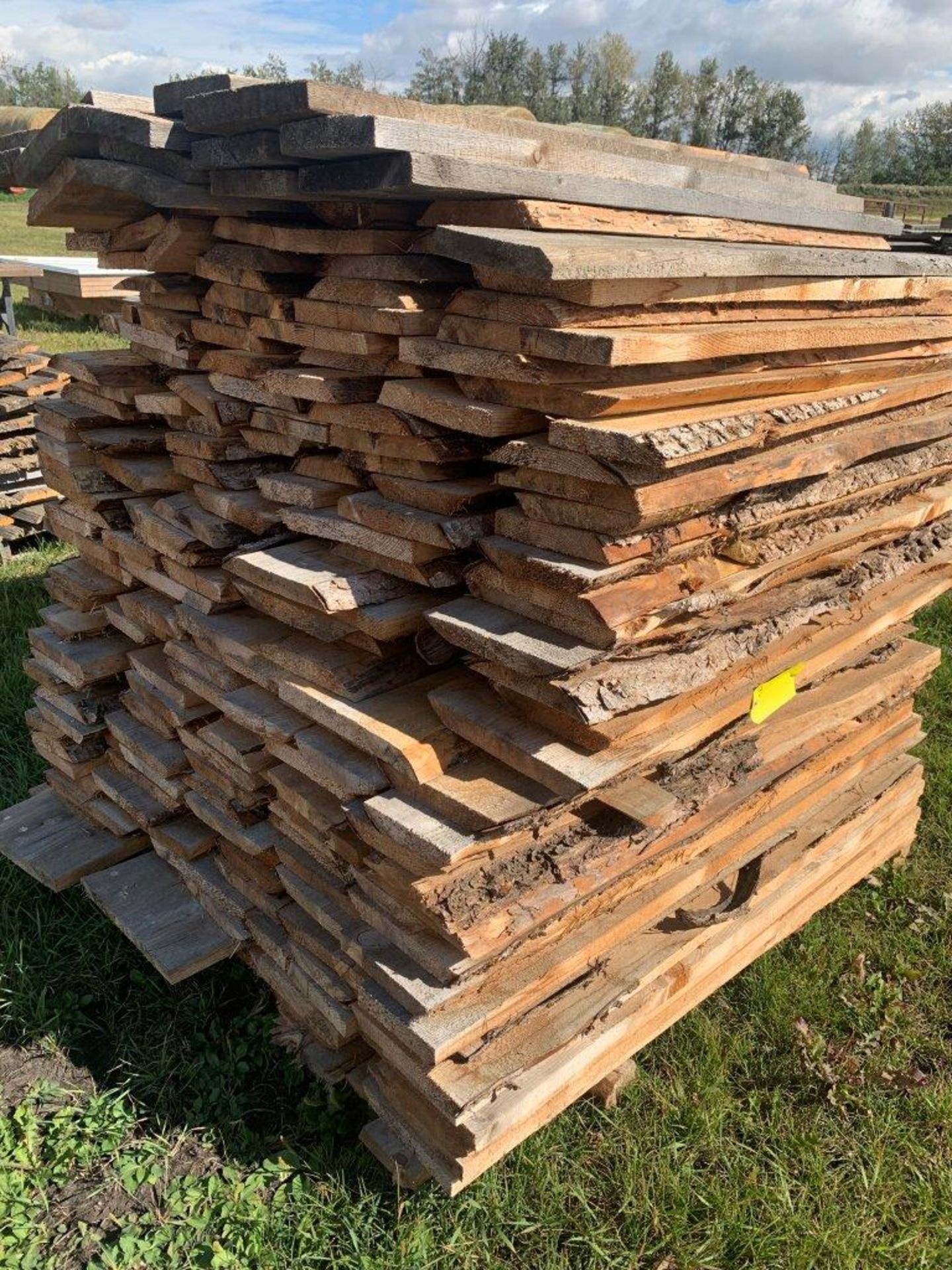 PALLET OF ROUGH CUT LIVE EDGE BOARDS