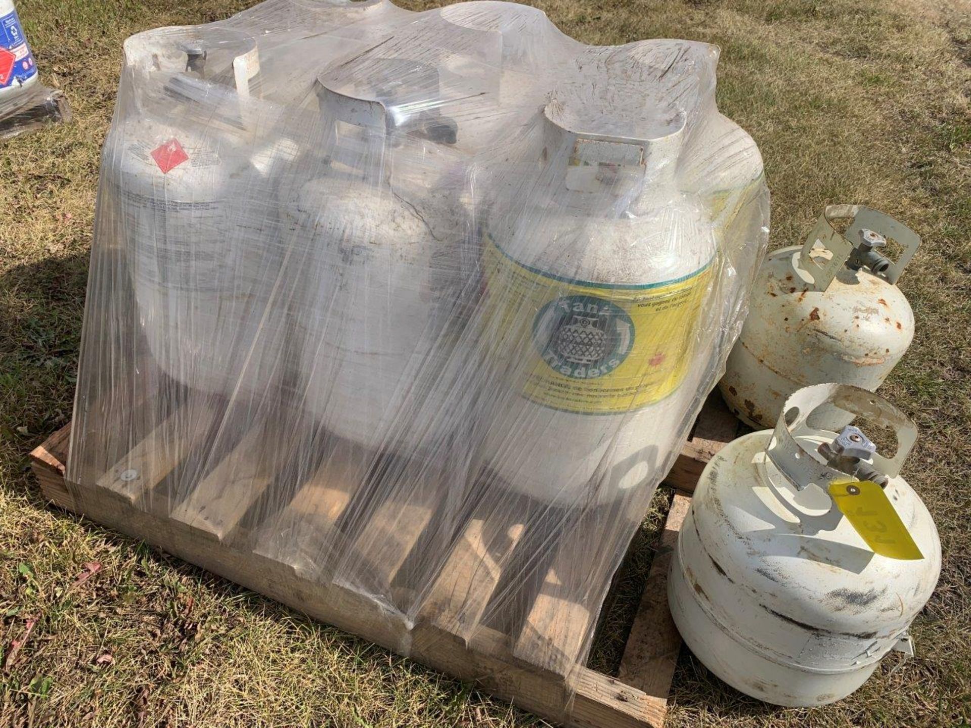 L/O ASSORTED 20&30LB LPG TANKS