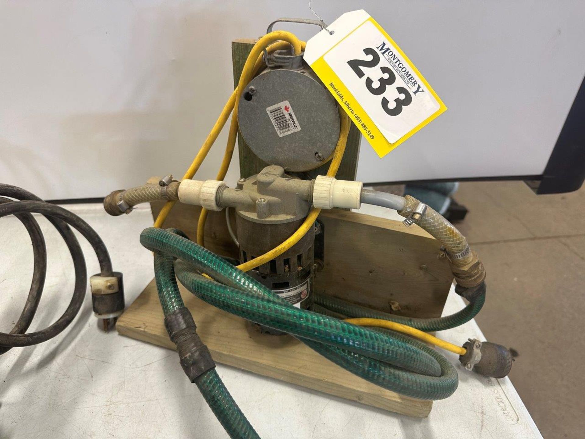 MILTON ROY CO. INLINE WATER PUMP 115V/1/50HP & 120V ELEC MOTOR W/ PULLY - Image 3 of 3