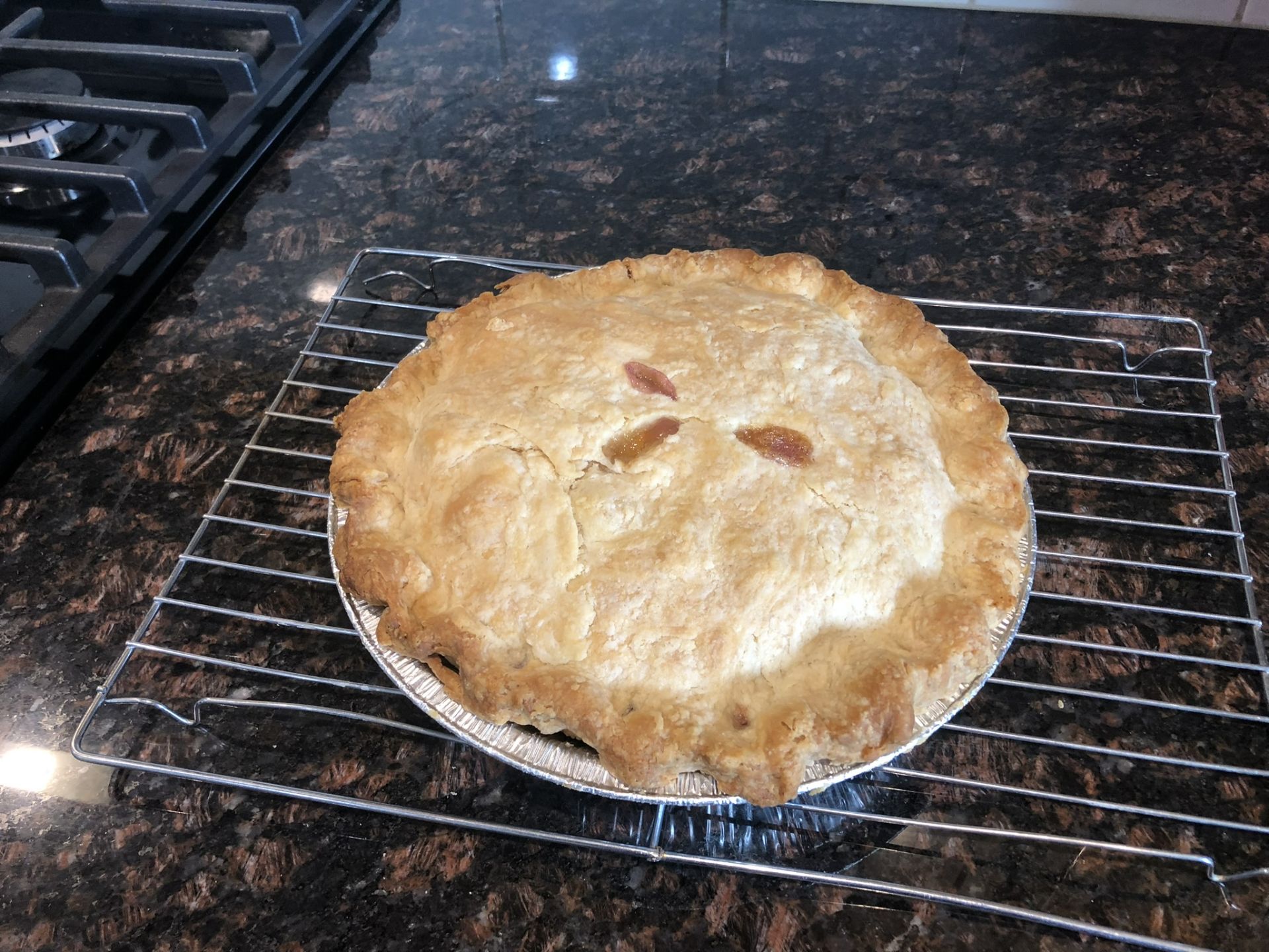 3 of The Worlds Best Homemade Apple Pies w/ homemade crust from scratch - Incl. Non-stick Oven Gaurd