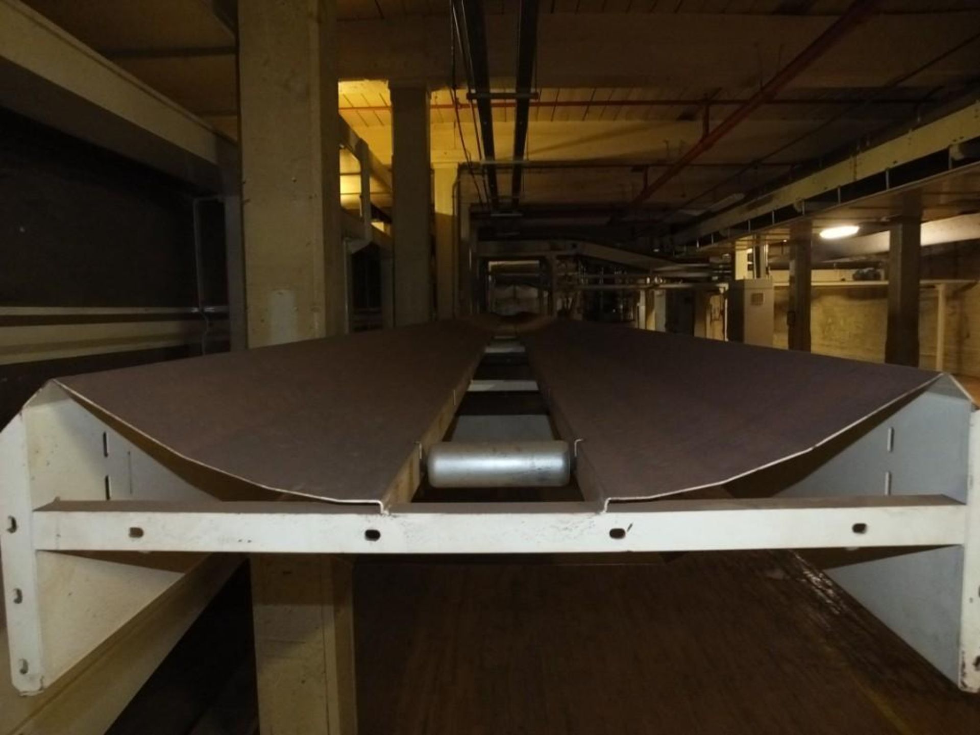 (5) 2008 Comas Feed Conveyors - Image 5 of 11