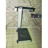 Toledo Beam Scale | Rig Fee $25