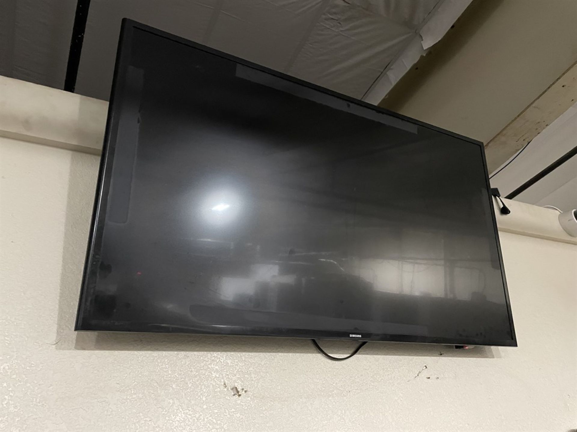 Samsung 48" Flat Screen TV (By Haas)