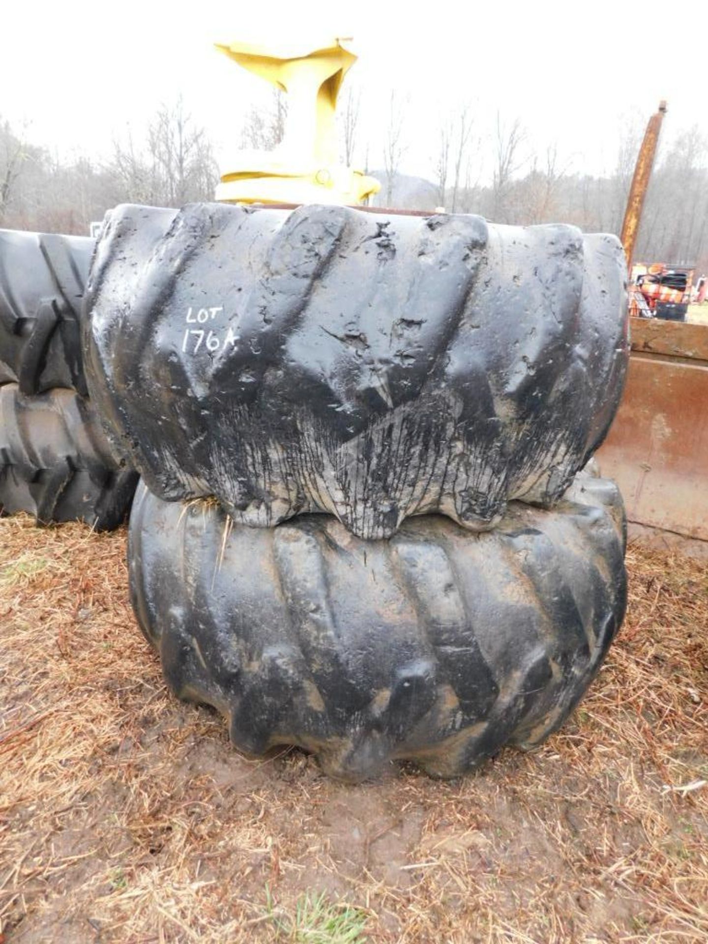 LOT: (2) Forestry Tires on Rims, (1) Rim - Image 2 of 2