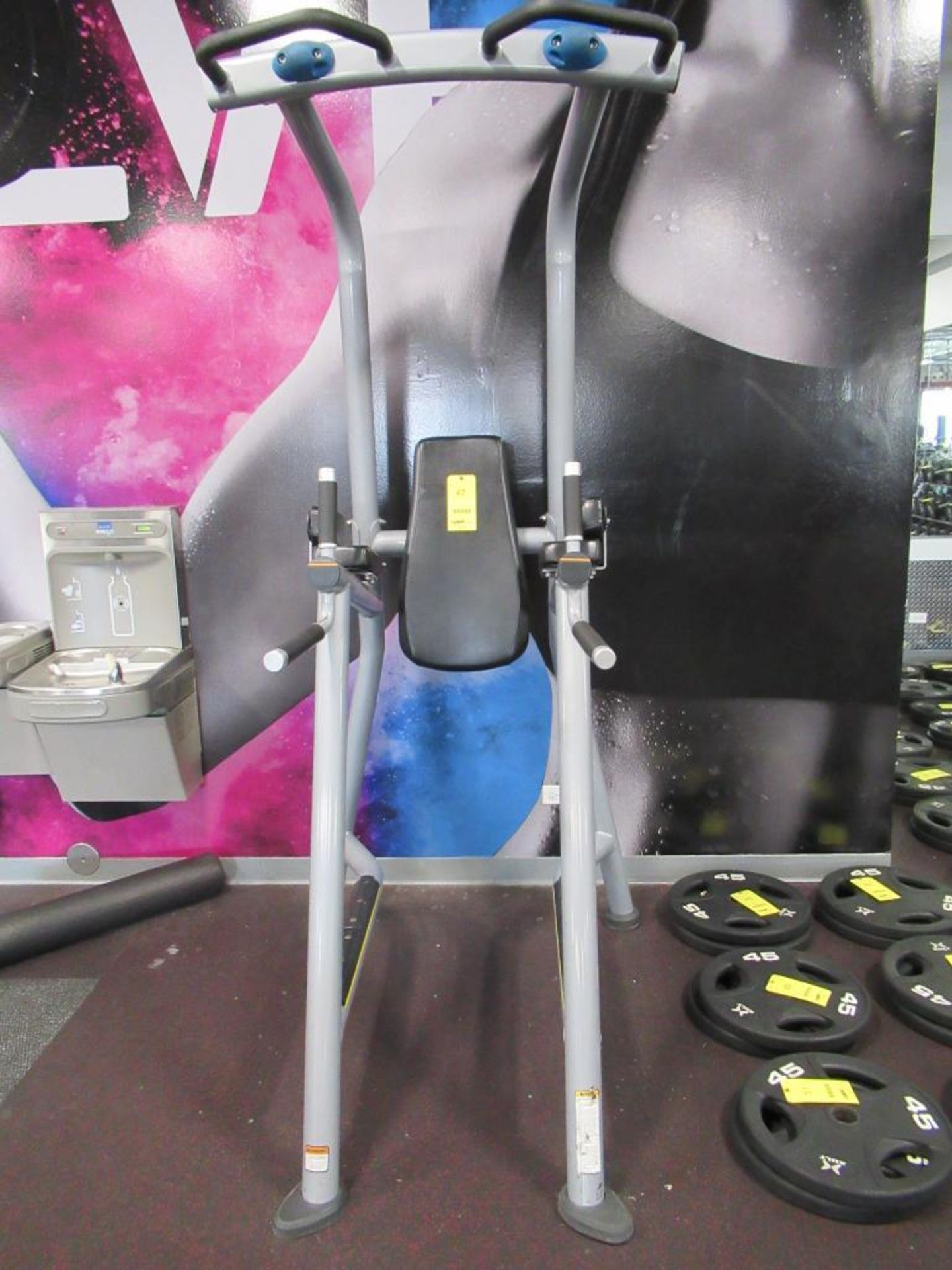 Matrix Model MG-A63C-03 Vertical Knee Raise with Chin Bar 300 lbs. - Image 2 of 4