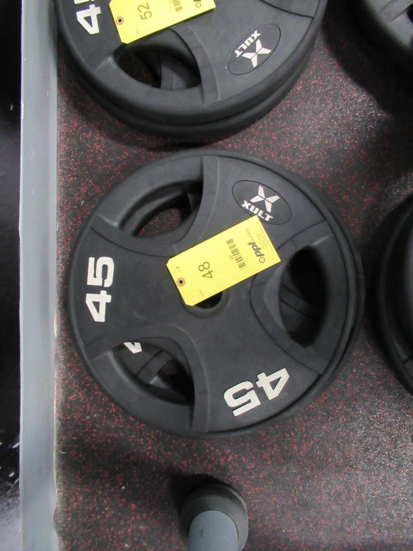 LOT: (2) Xult 45 lbs. Plate