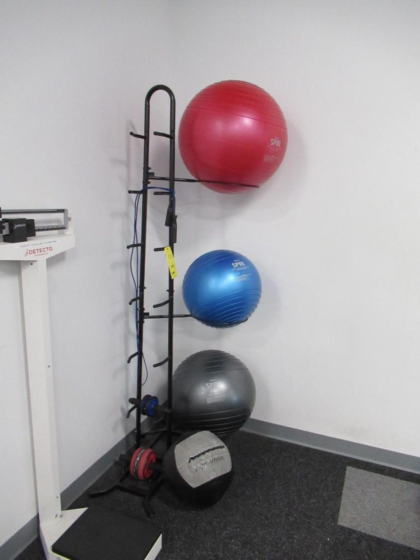 LOT: (3) Spri Stability Balls (45 m, 55 cm, 65 cm), (2) Ab Rollers, Jump Rope and Rack - Image 5 of 9