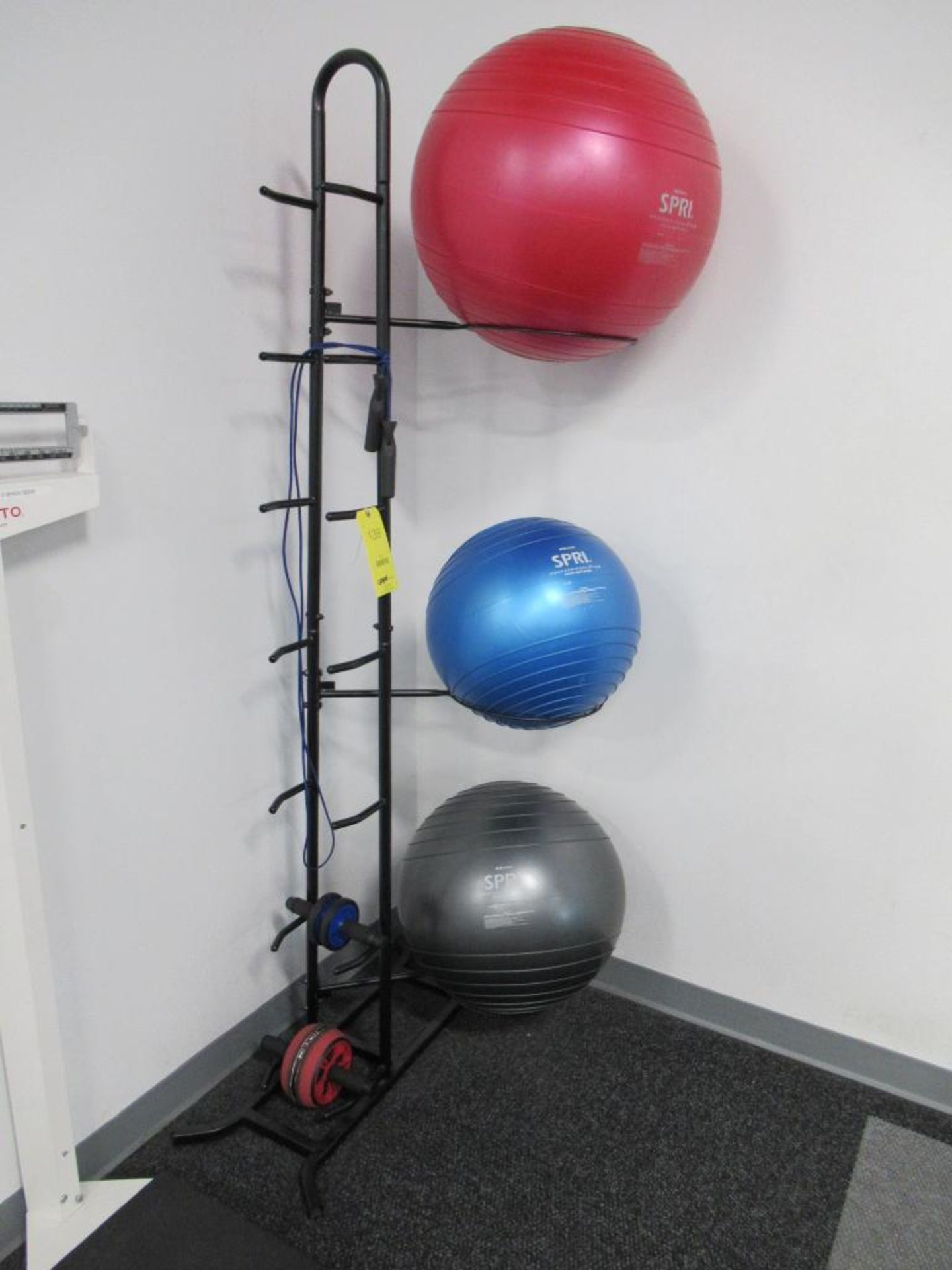 LOT: (3) Spri Stability Balls (45 m, 55 cm, 65 cm), (2) Ab Rollers, Jump Rope and Rack