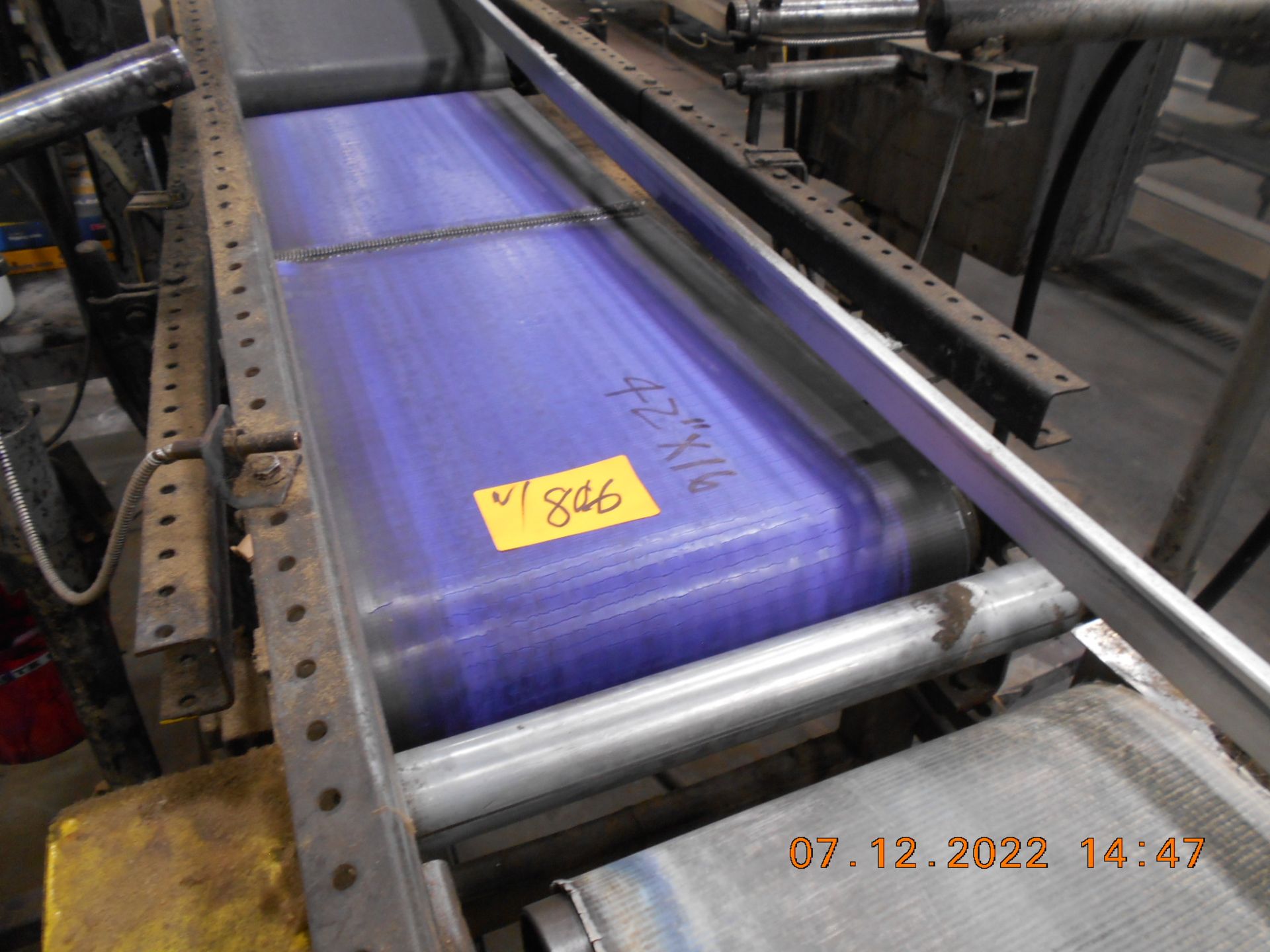 Case Discharge Conveyors - Image 3 of 3