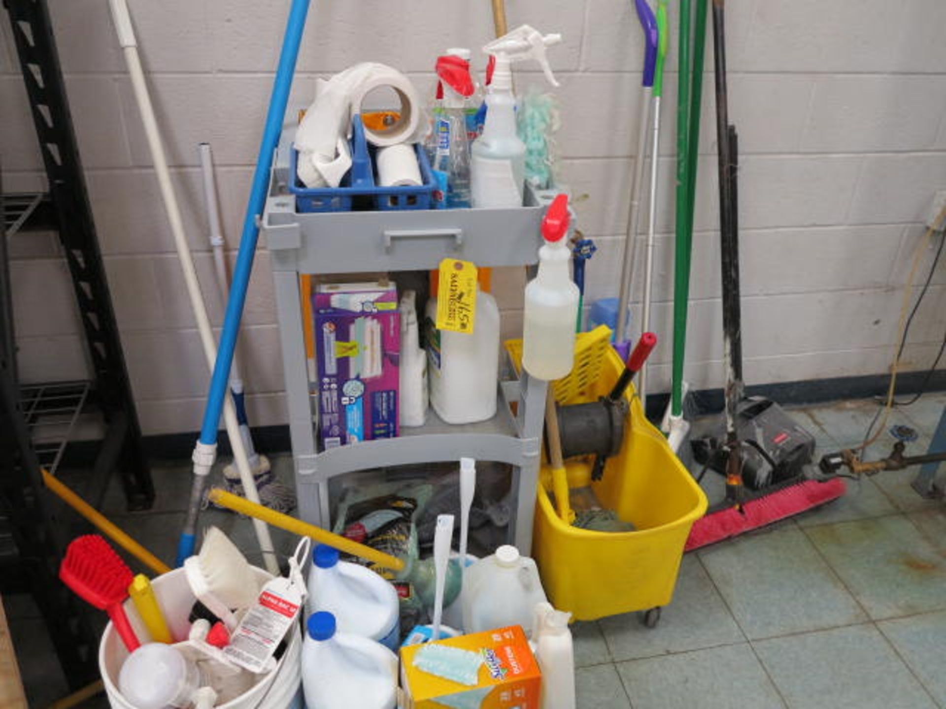 Cleaning Supplies and Cleaning Cart