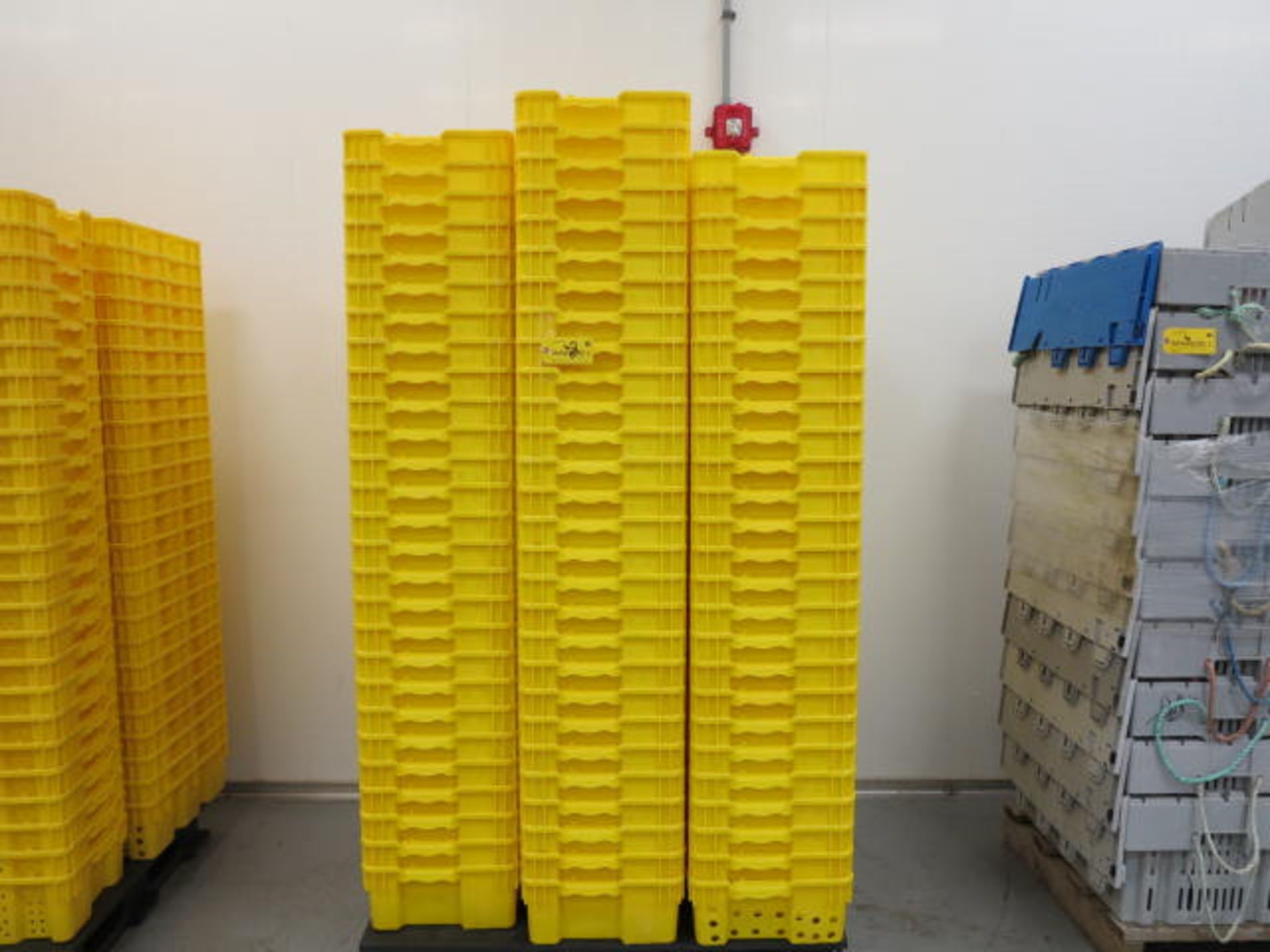 Lot Approximately (100) 24'' x 16'' x 7'' Yellow Stack-N-Nest Ventilated Agricultural Containers