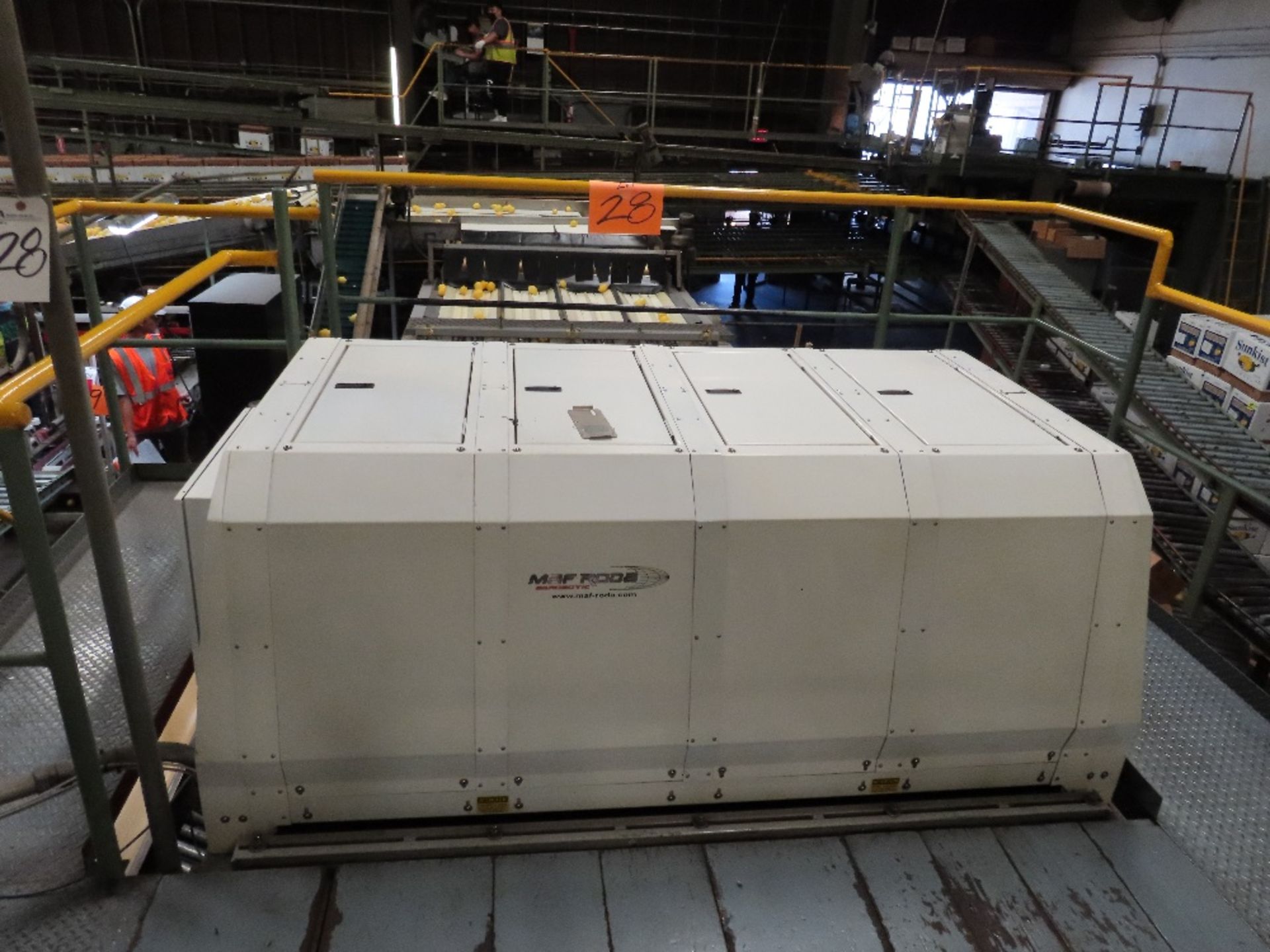 (2014) MAF Roda, 8-Lane Optical Sizer/Grader w/ A/B Count Fillers & Box Fillers w/ Underneath