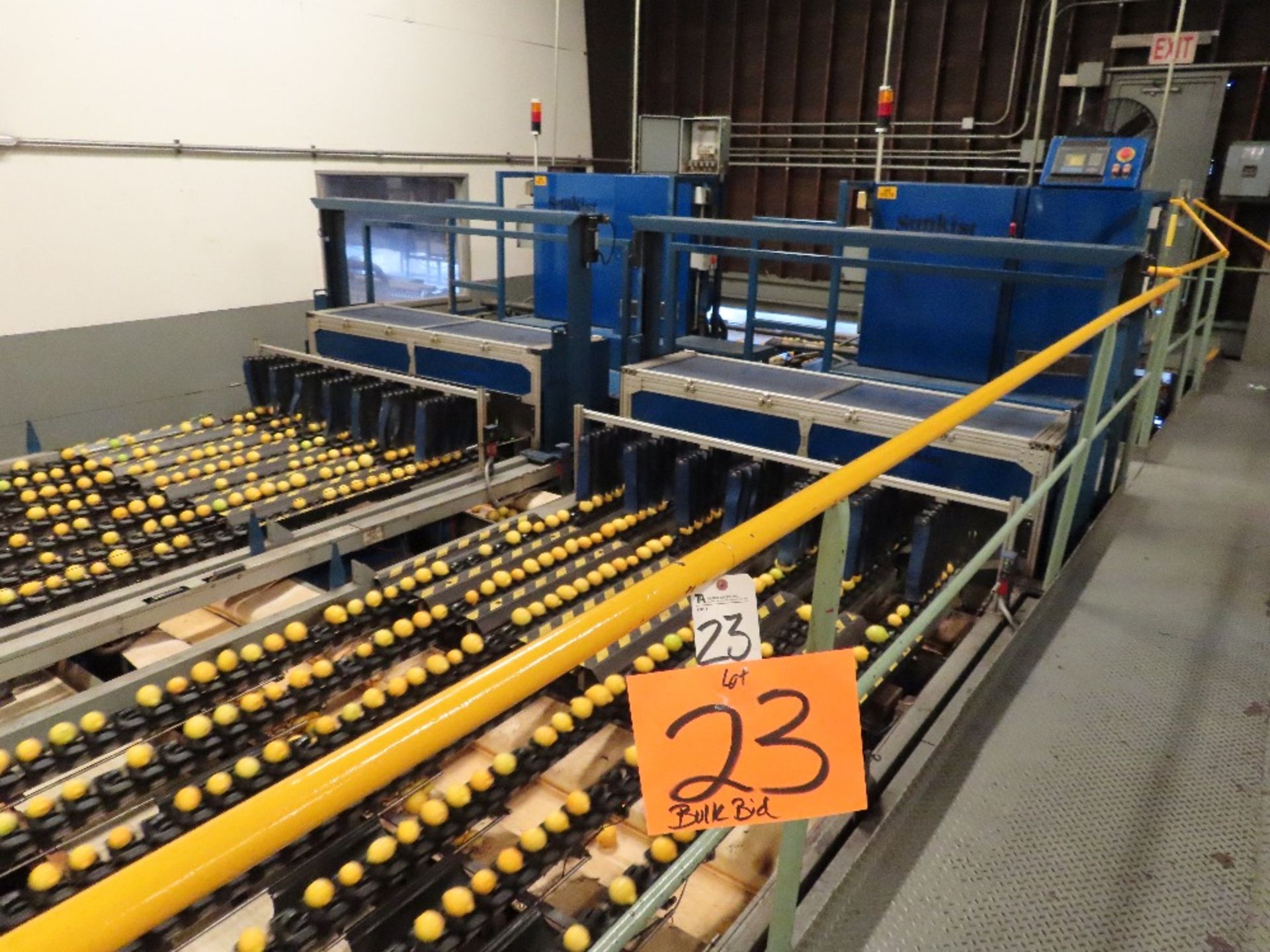 (BULK BID) (Consists of lots 24, 25 & 26 -- (2) Sunkist 7-Lane Sizer/Graders w/ 80'' x 14' S.S.