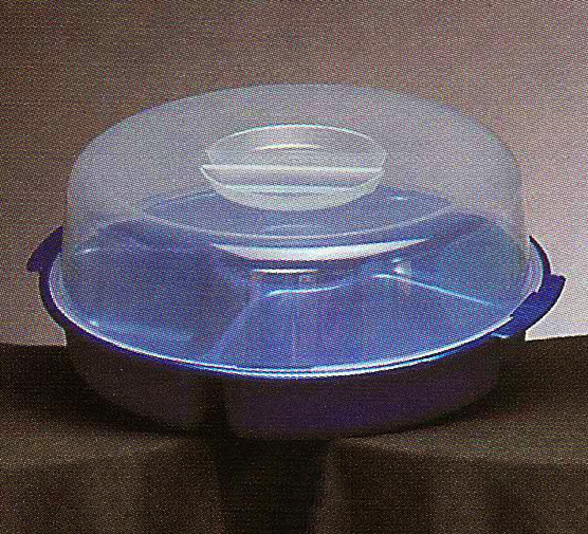 Cake/Pie Saver Base, Pie Saver Cover, Cake Saver Cover, & Veg/Snack Saver Base Molds - Image 4 of 21