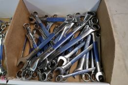 Box w/ SAE & Metric End Wrenches