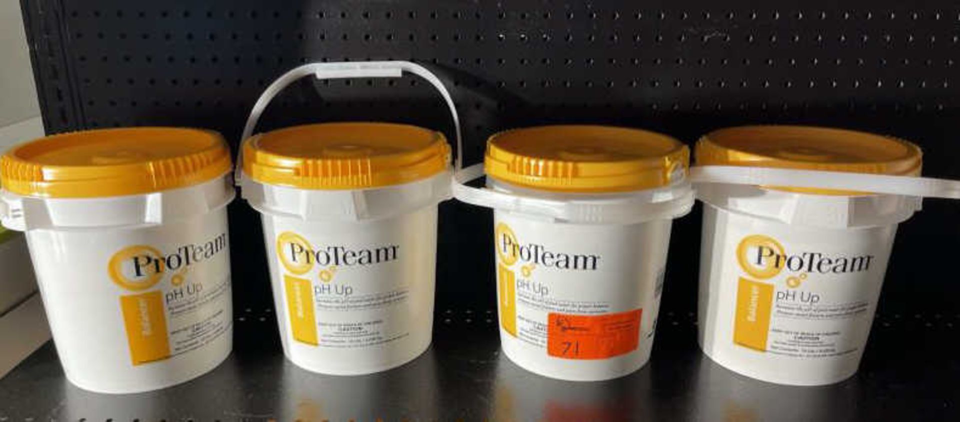Lot of (4) 10# containers of ProTeam PH Up