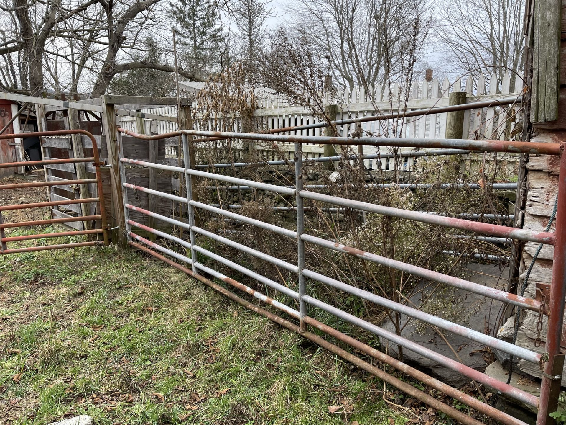 Metal Cattle Head Shout, Free Standing w/ 2 Rear Gates - Image 4 of 4