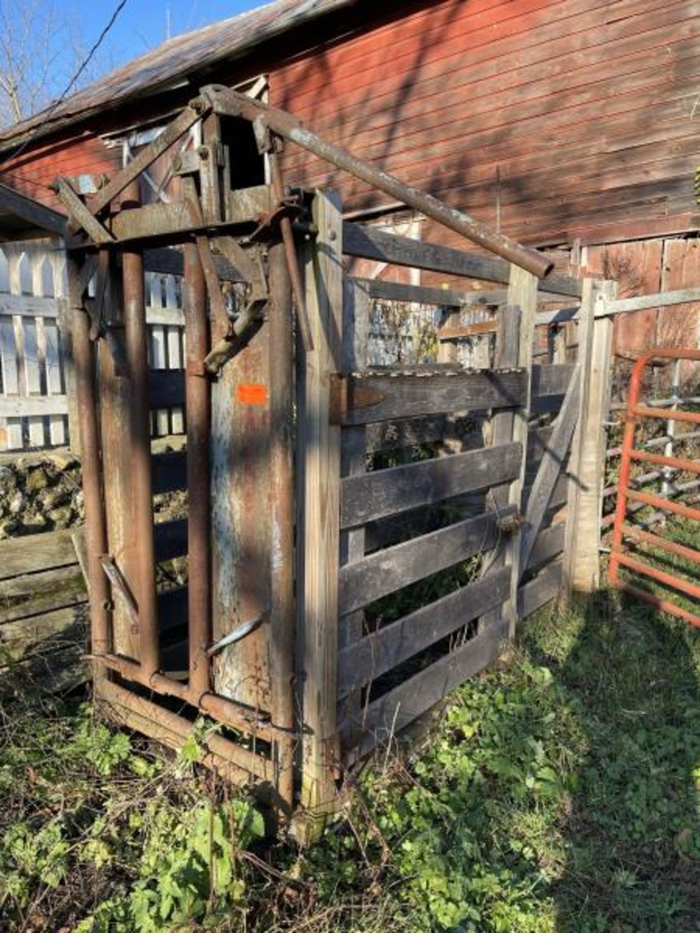 Metal Cattle Head Shout, Free Standing w/ 2 Rear Gates