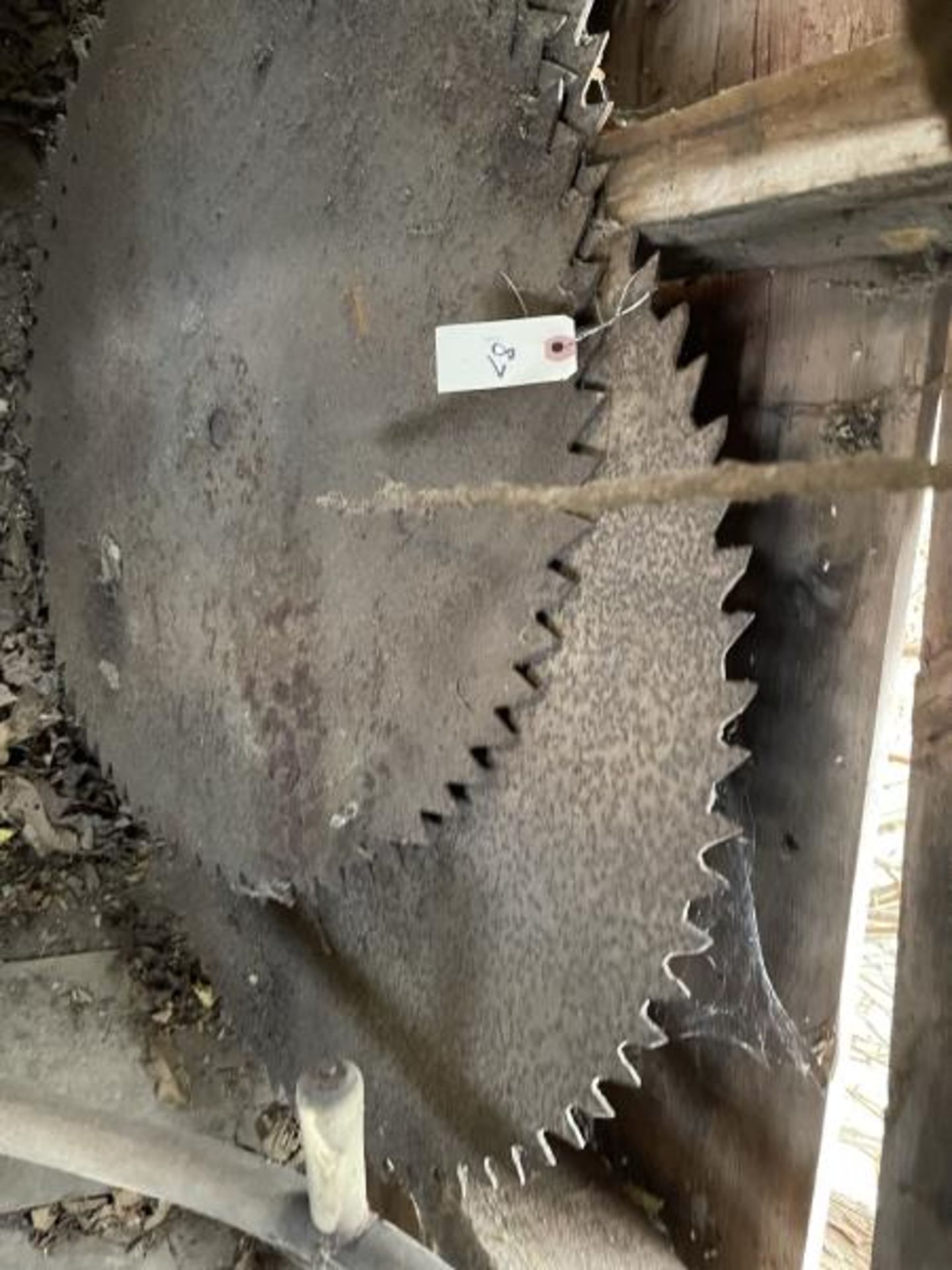 Lot of (4) Saw Blades - Image 2 of 2