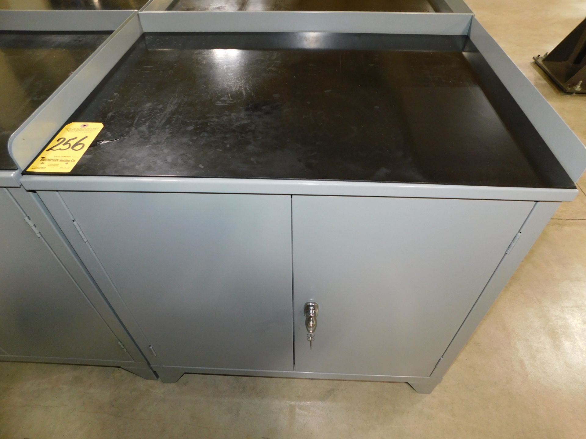 2 Door Storage Cabinet/Workbench