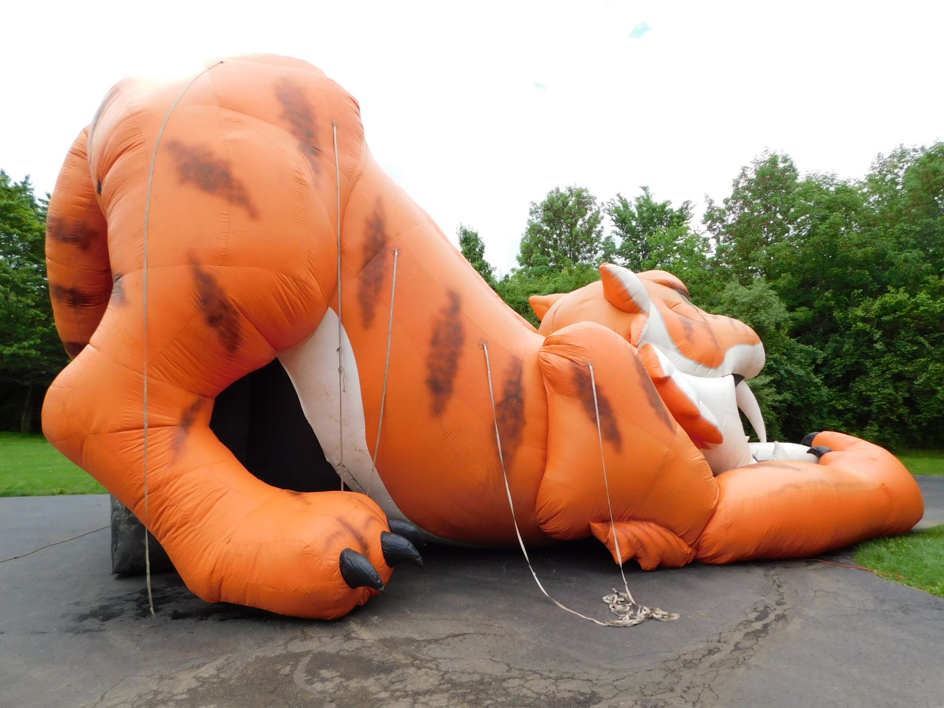 Cutting Edge Creations Sabre Tooth Tiger 27' Slide, 27'WX42'LX27'H, 3 Blowers req. - Image 8 of 46