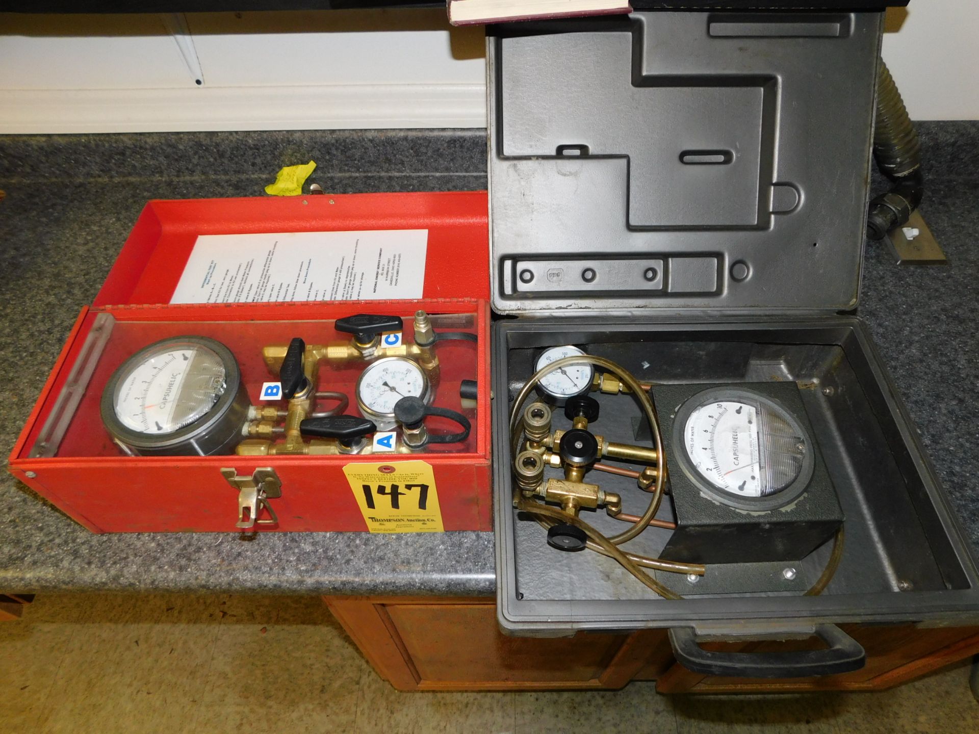 (2) Differential Test kits