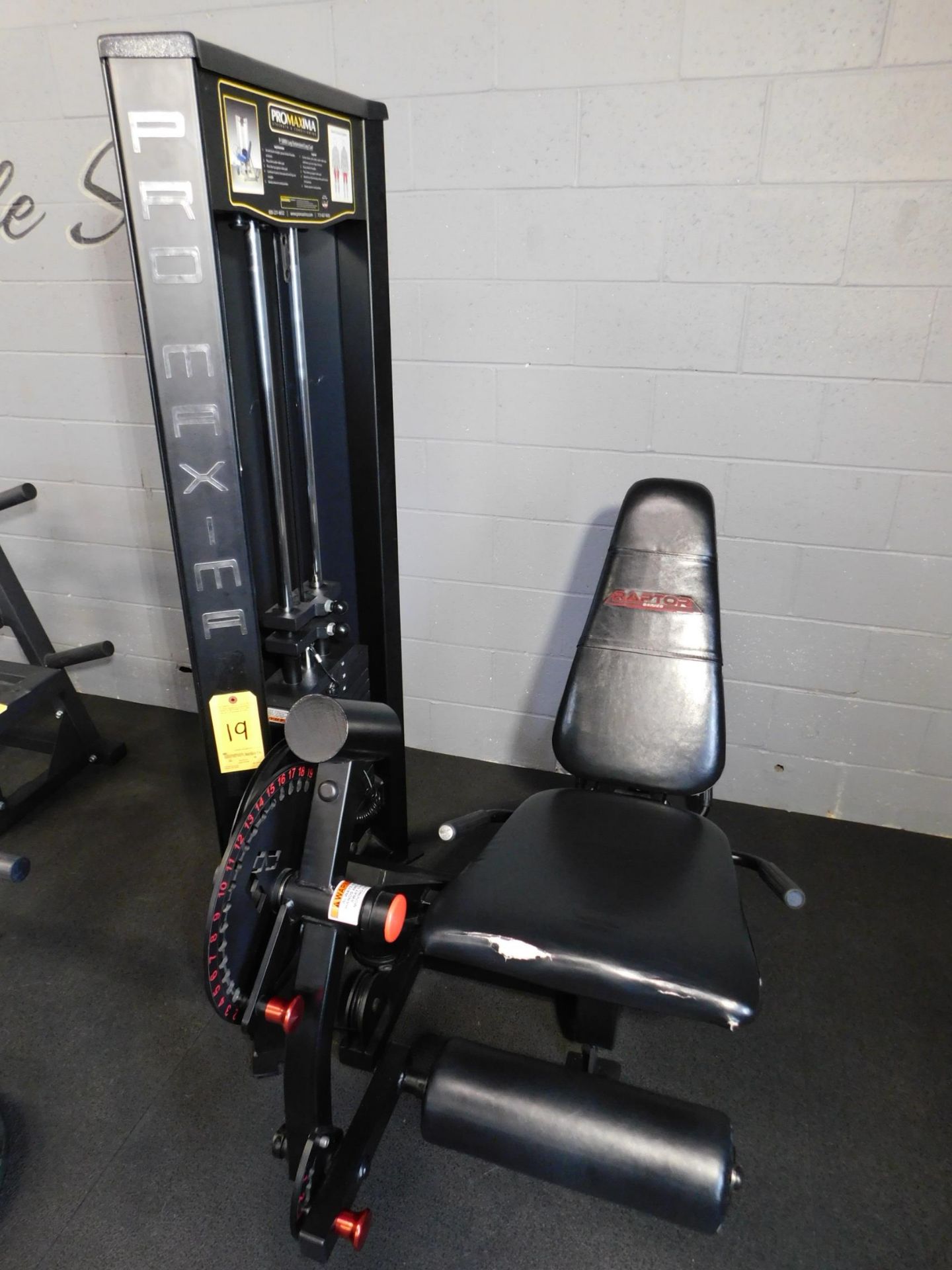 ProMAXima Leg Extension/Curl Machine