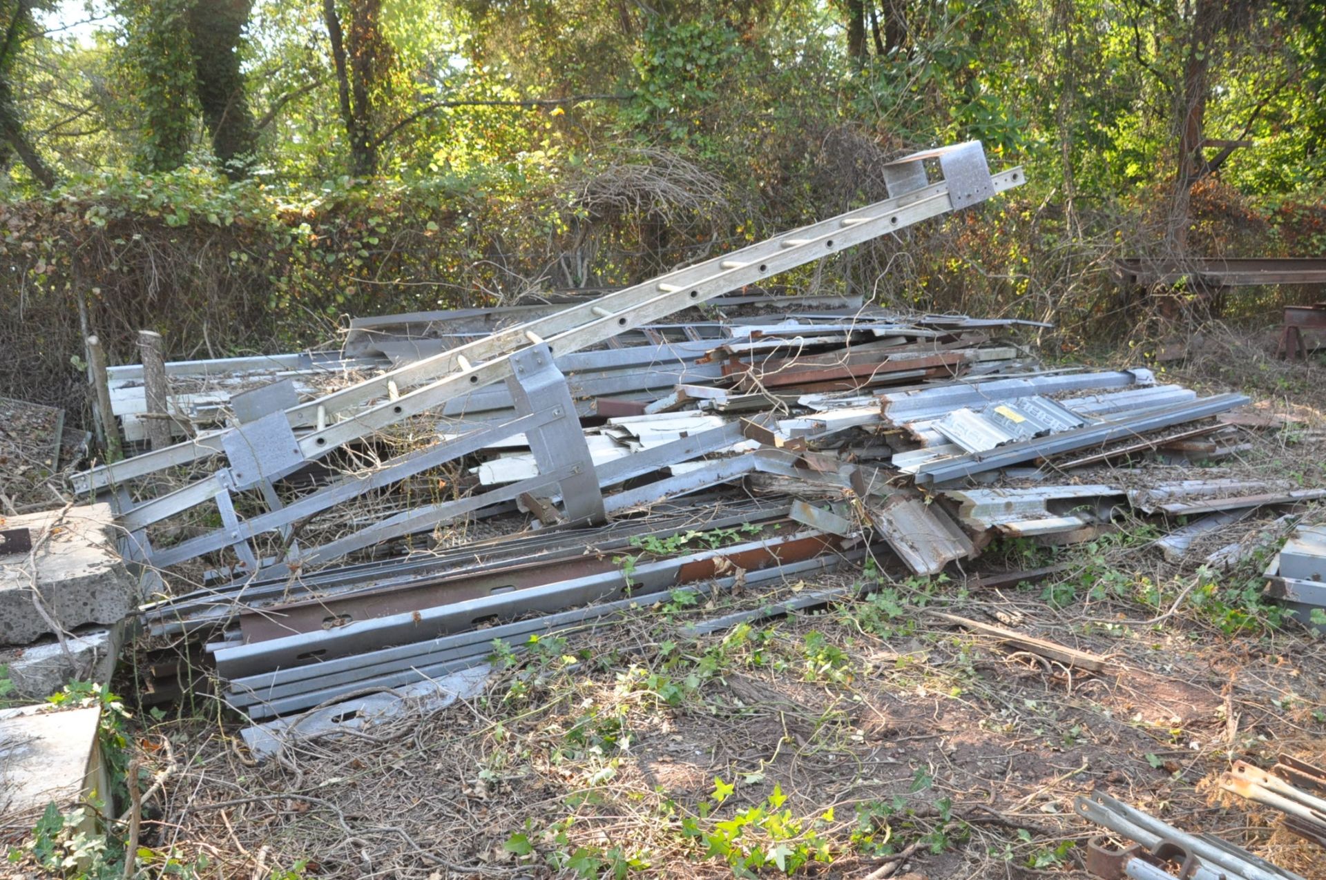 Lot-Safety Exterior Building Ladder, Various Extrusion and Corrugated Sheet Panels - Image 3 of 3