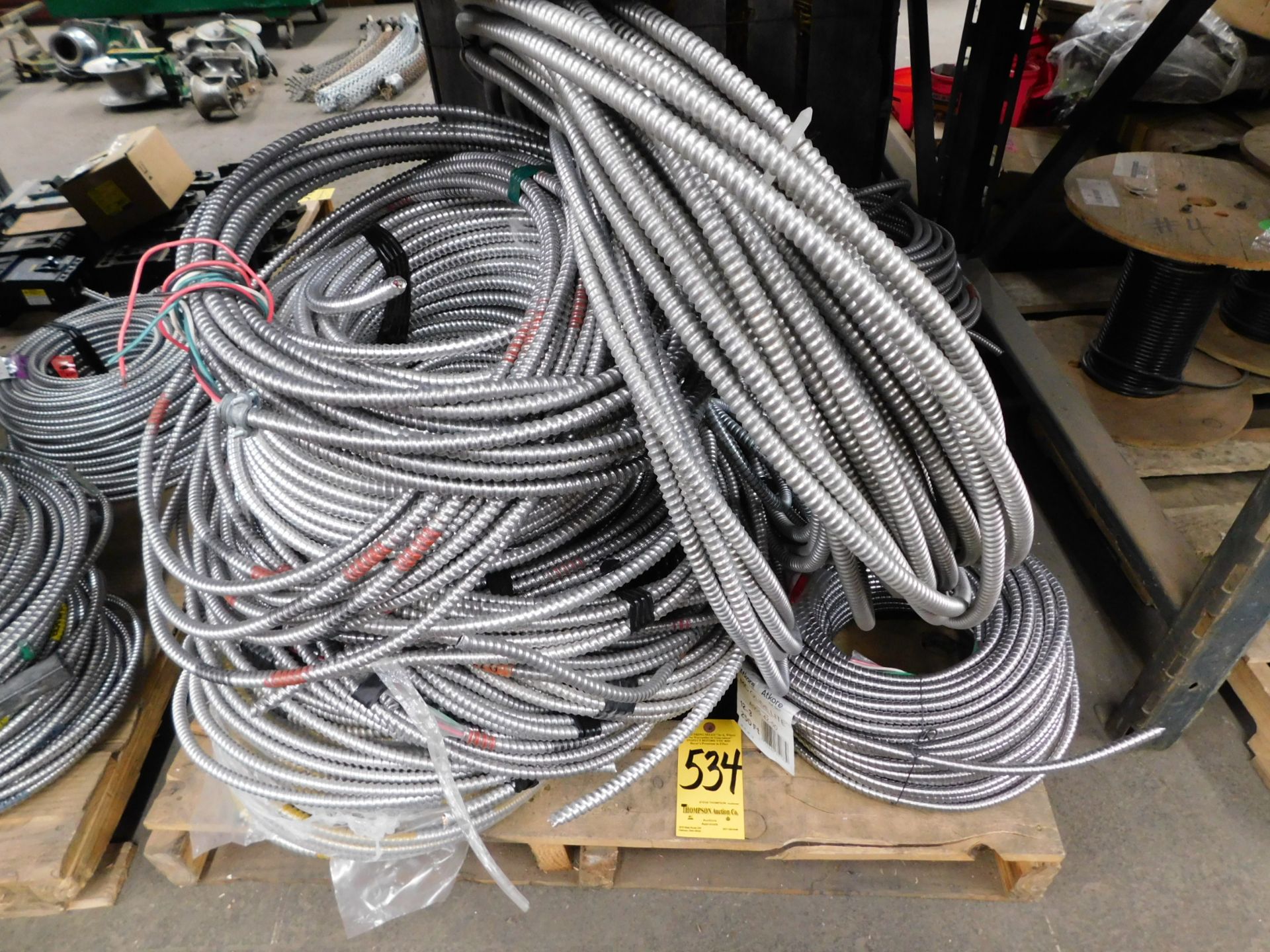 Electrical Wire w/ Flexible Conduit