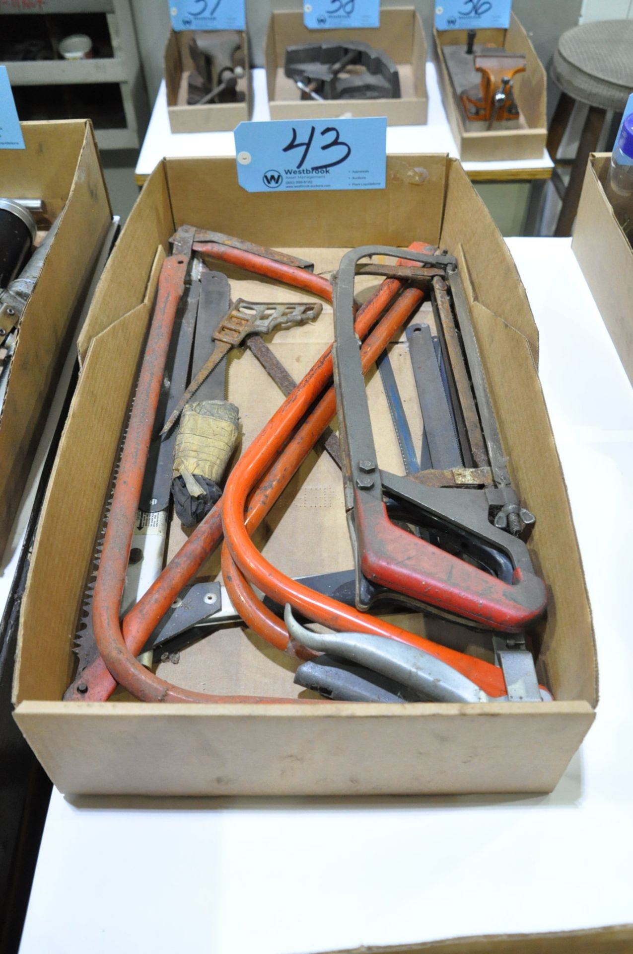 Lot-Hack Saws and Bow Saws in (1) Box