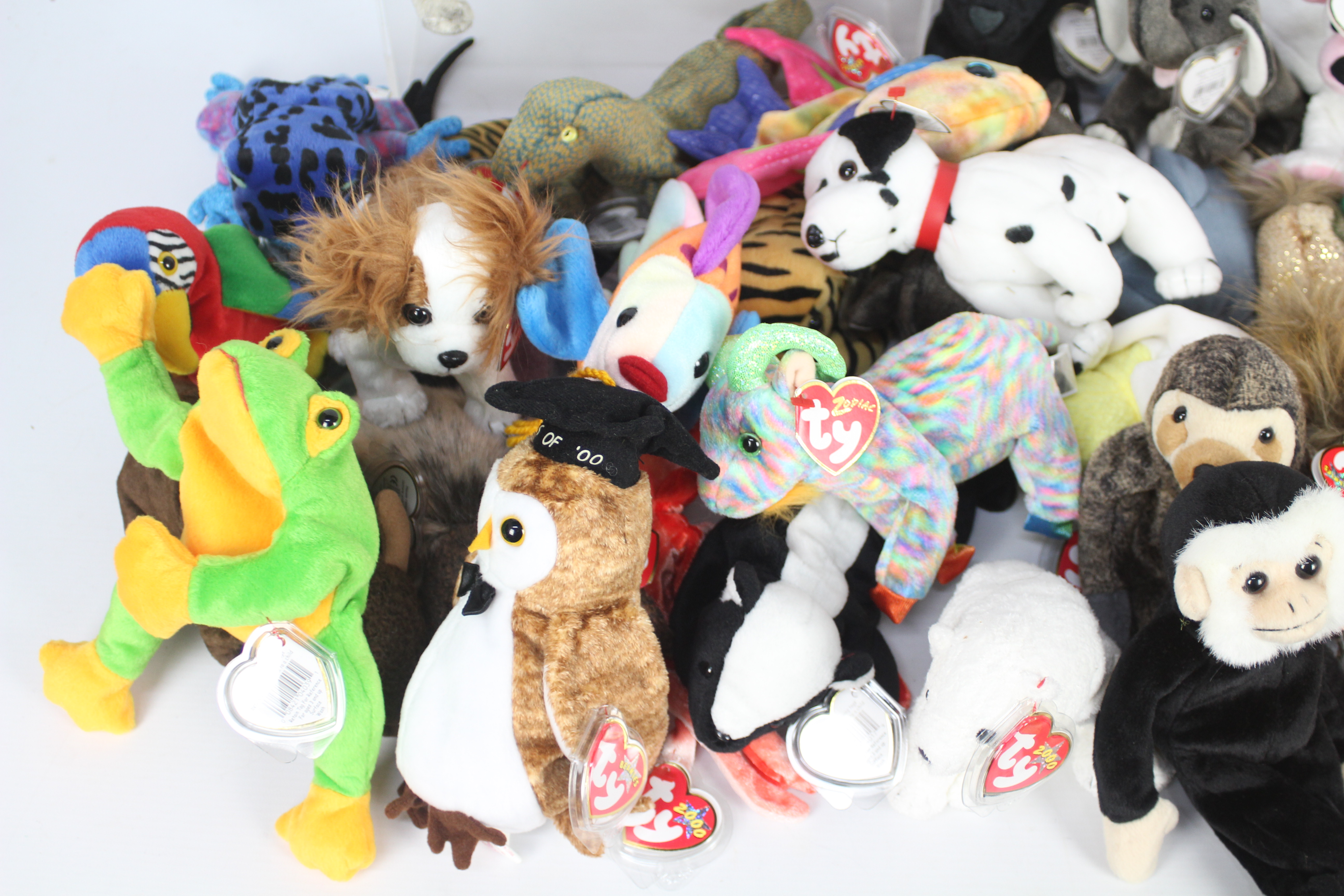 Ty Beanie - The Beanie Babies Collection - A large quantity of 50 x first generation Ty Beanie Baby - Image 4 of 4