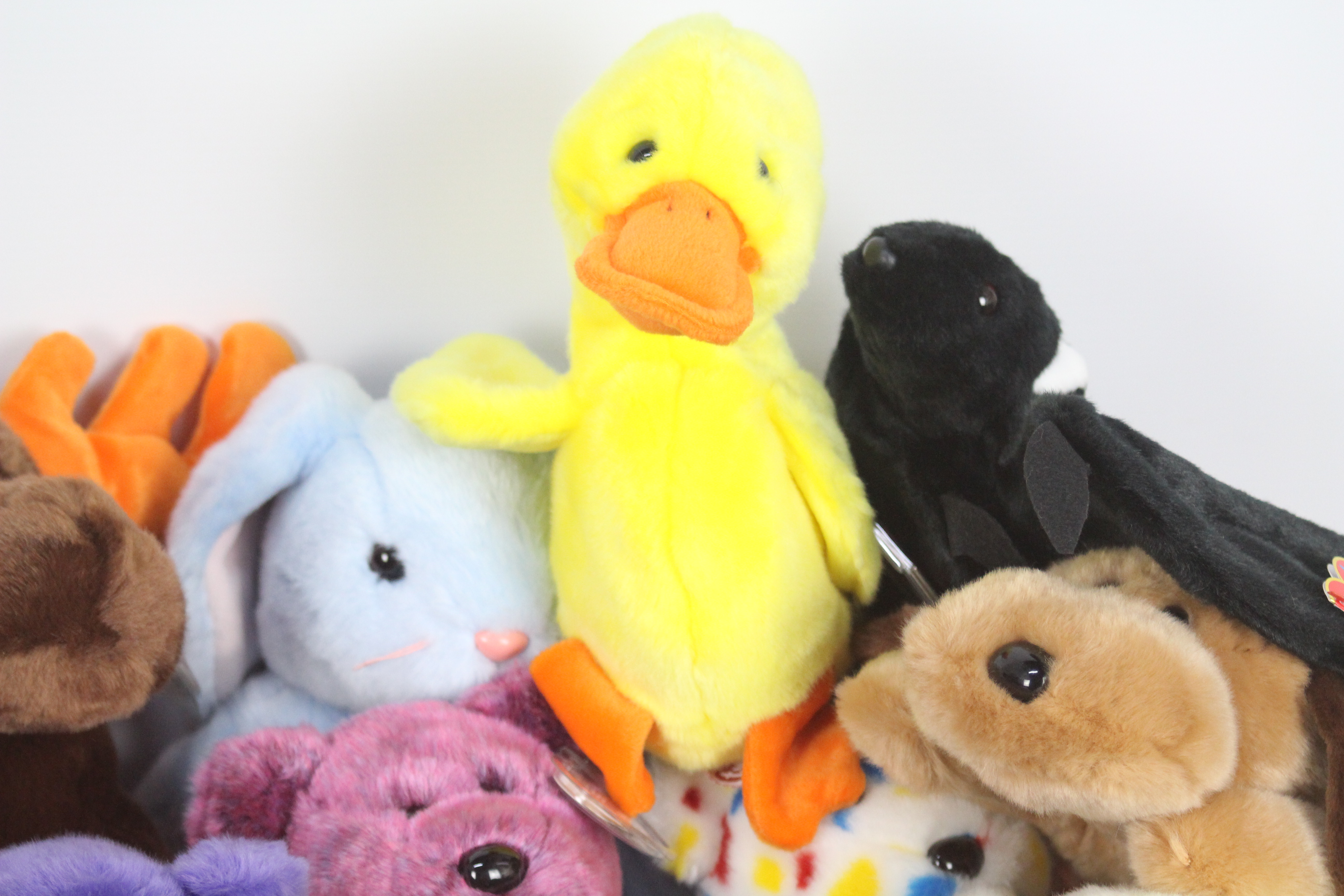 Ty Beanie - The Beanie Buddies Collection - A large quantity of 30 x first generation Ty Beanie - Image 4 of 4