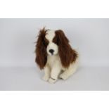 Reinhard Schulte - A Cavalier King Charles Spaniel named Ben by Reinhard Schulte.