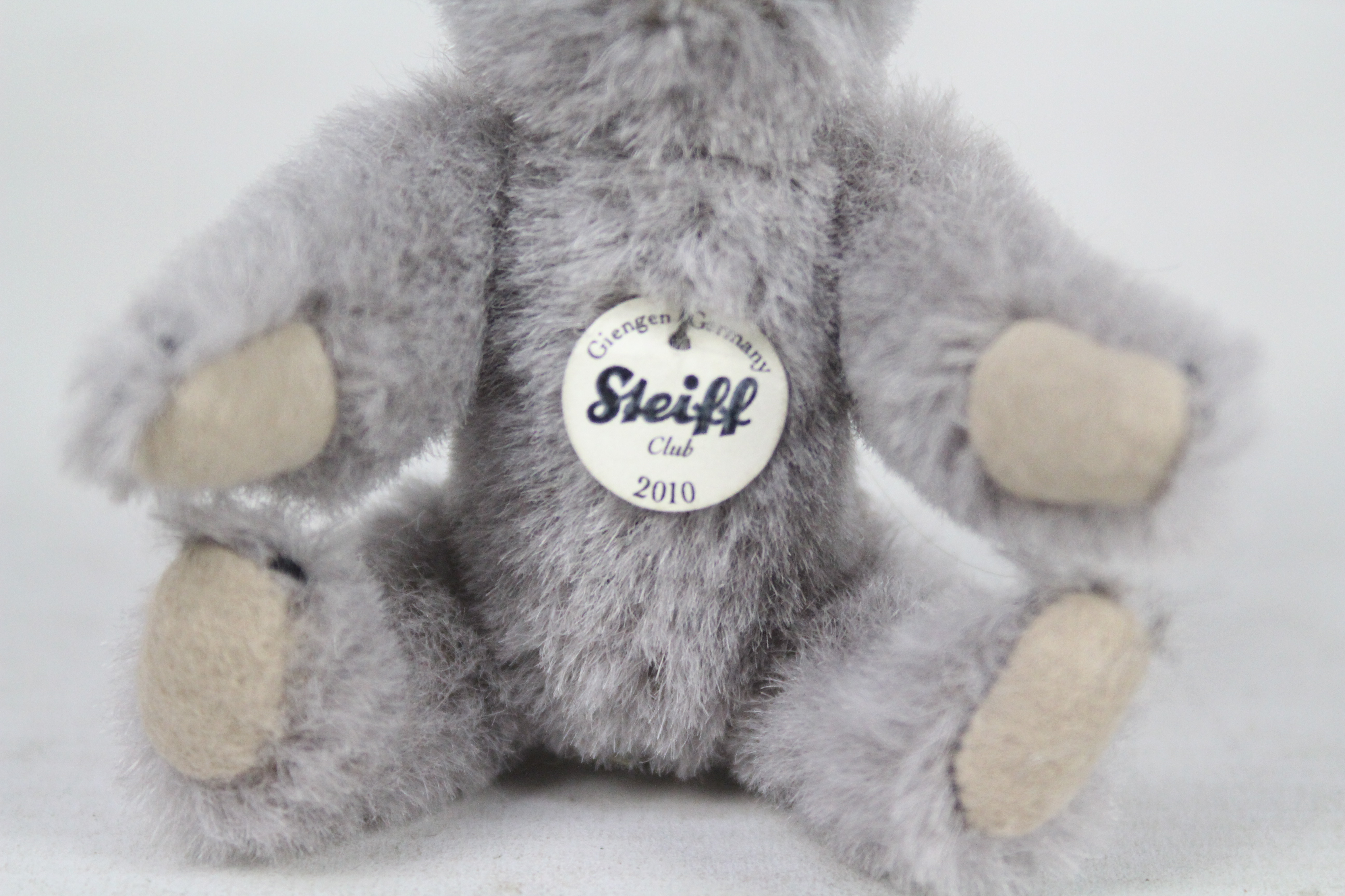 Steiff - A boxed miniature alpaca 'Annual Gift 2010' bear - The grey bear has plastic eyes, - Image 3 of 6